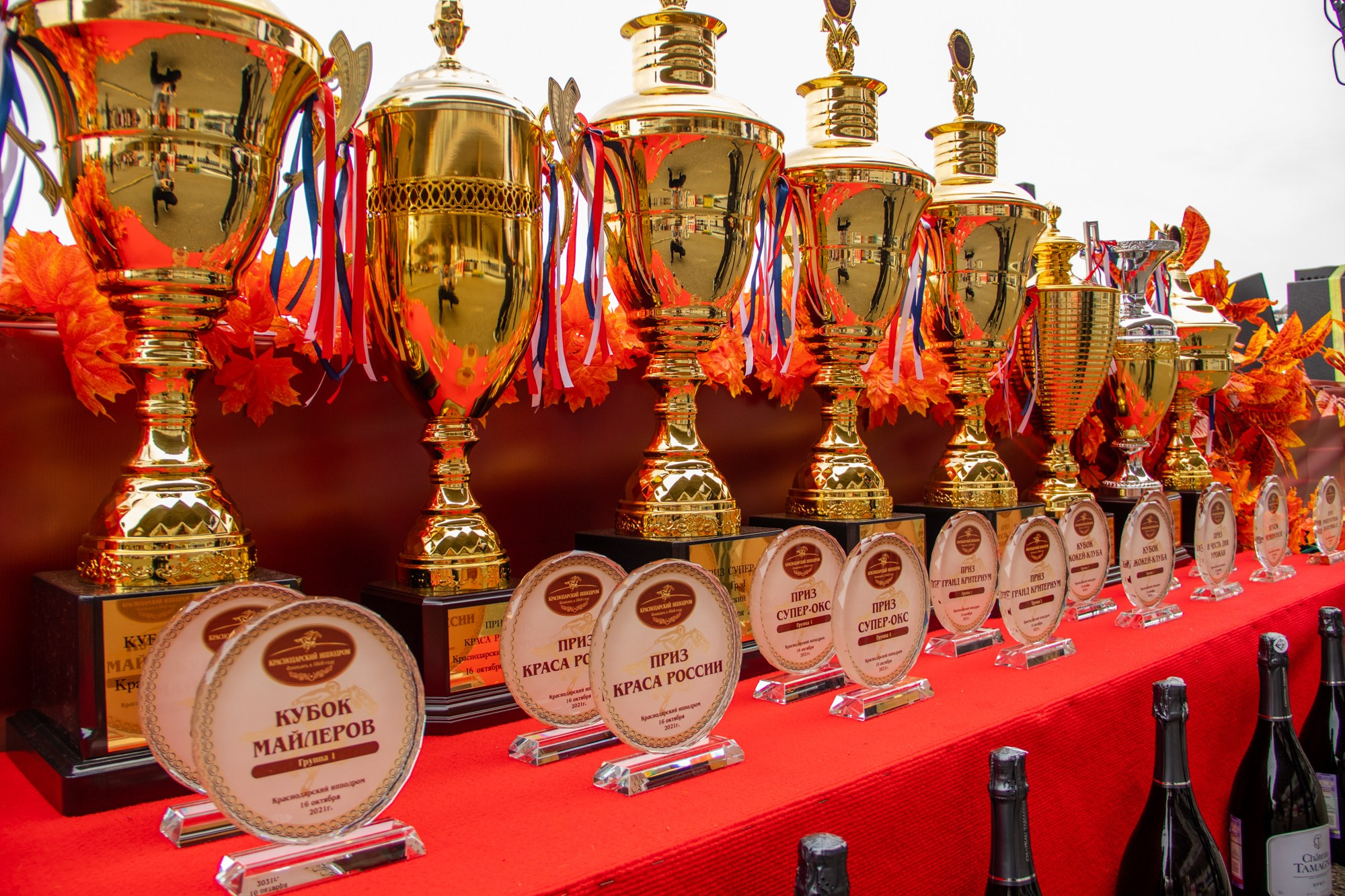 Закрытие скакового сезона на Краснодарском ипподроме. Репортажный, промышленный и маркетплейс-фотограф Дмитрий Чернат