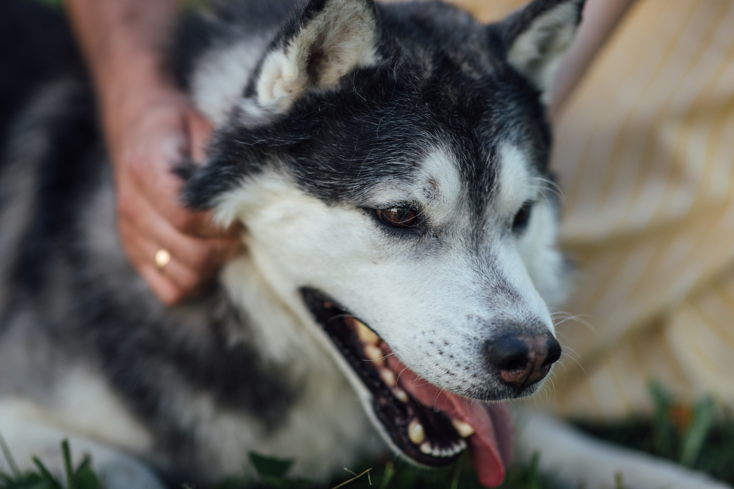 Костя+Вика+? +пёс Ричи