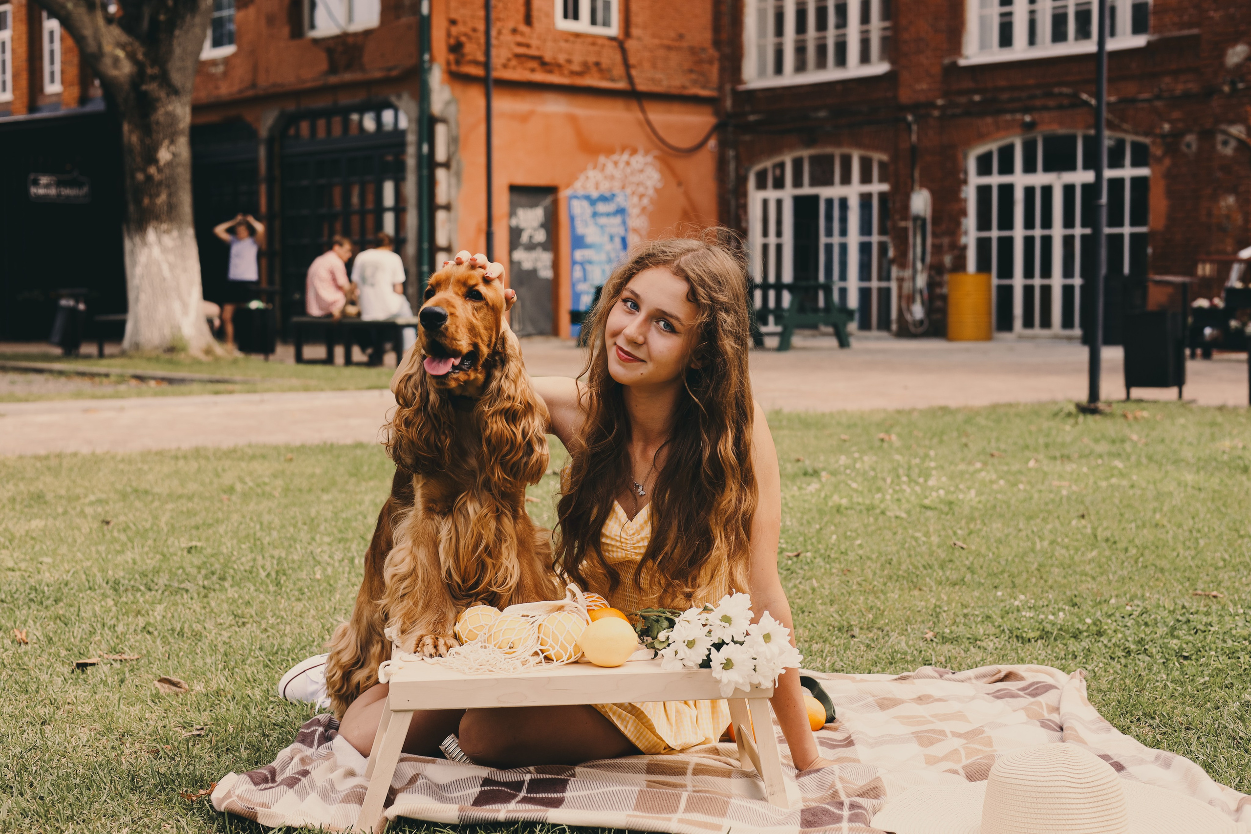 Фотопроект «Пикник со спаниелем». Фотограф Мария Лаенко