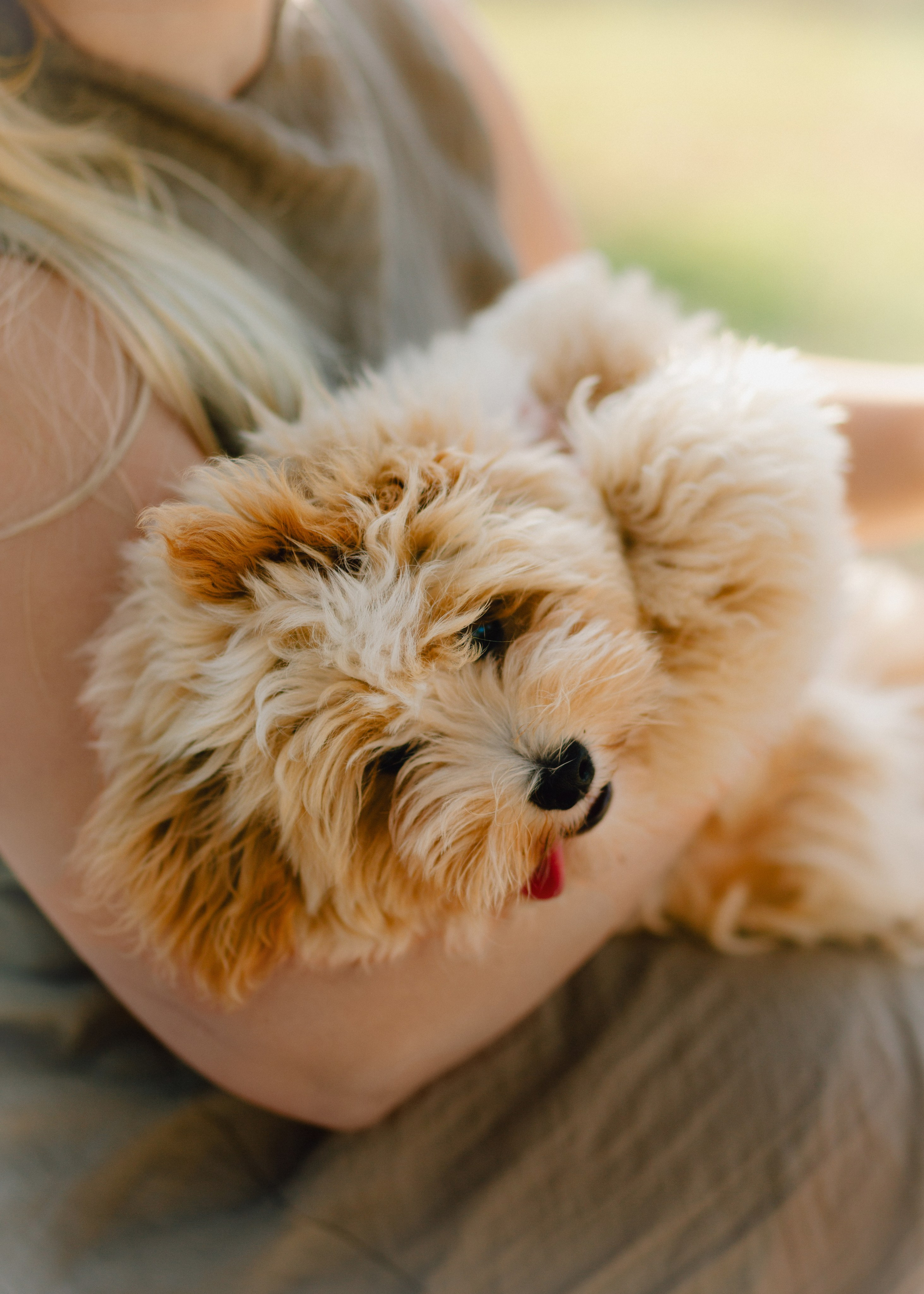 J&J Family. Barbara Isaeva