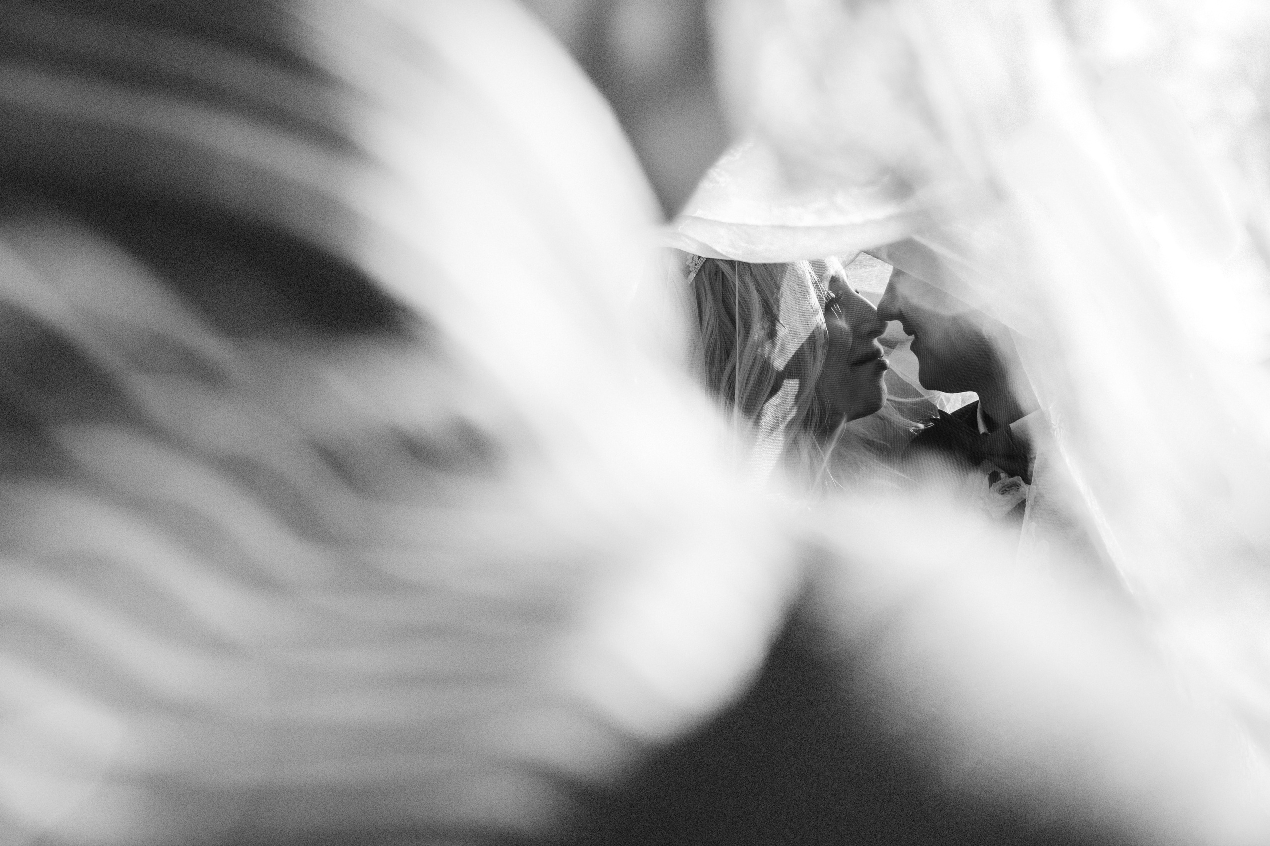 Услуги и цены на свадебную фотосъёмку в городе Майкопе. Семейный и свадебный фотограф в Майкопе Михаил Мартиросян