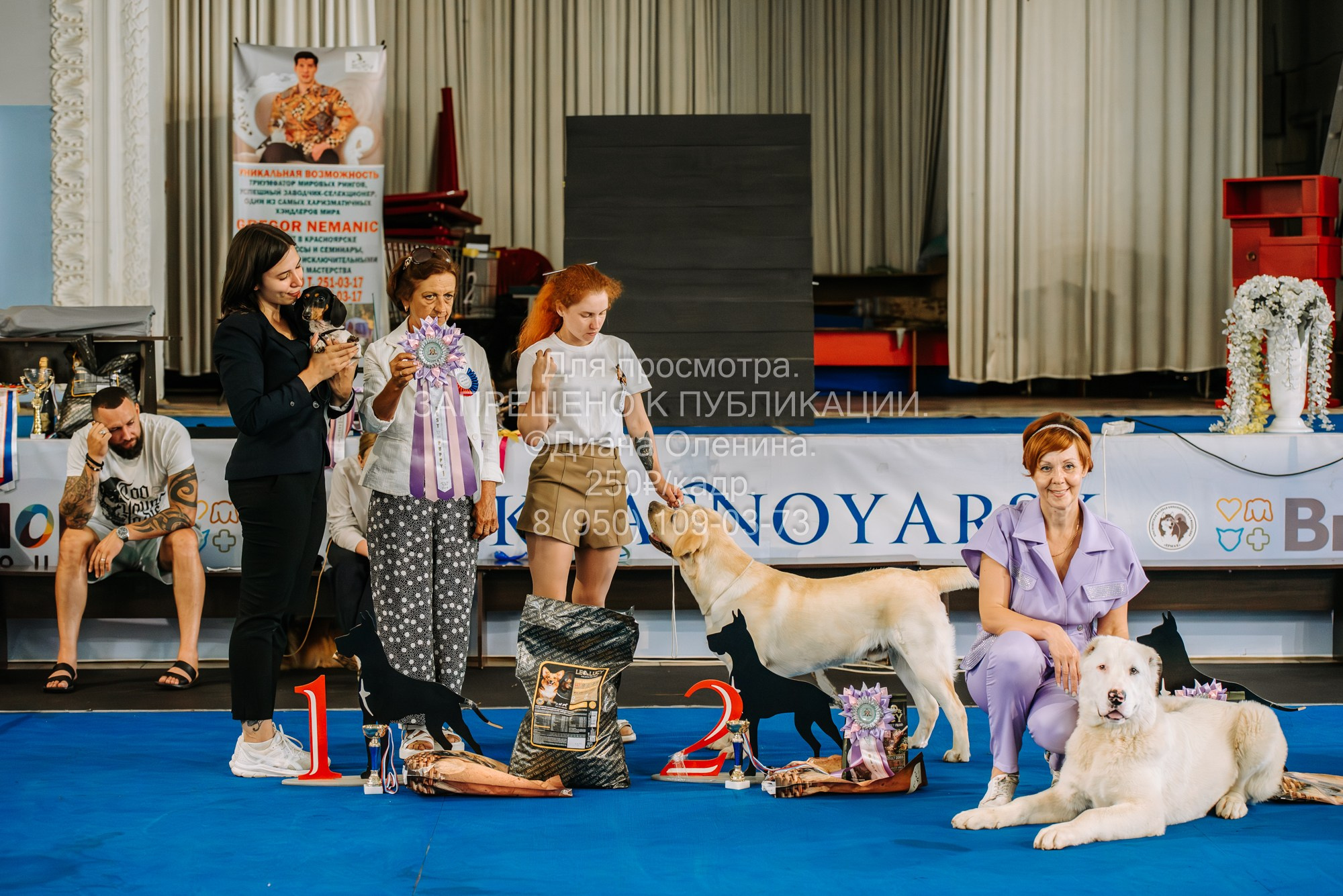 Национальная выставка собак всех пород ранга САС-IKU «Кубок Красноярск. Фотограф Диана Оленина Красноярск / Братск