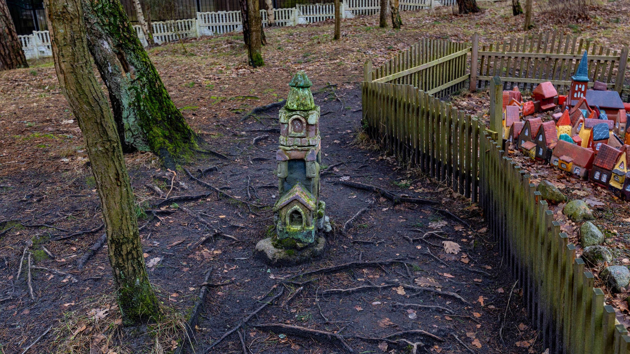 2024 01 Калининград (Светлогорск, Зеленоградск). Фотографии