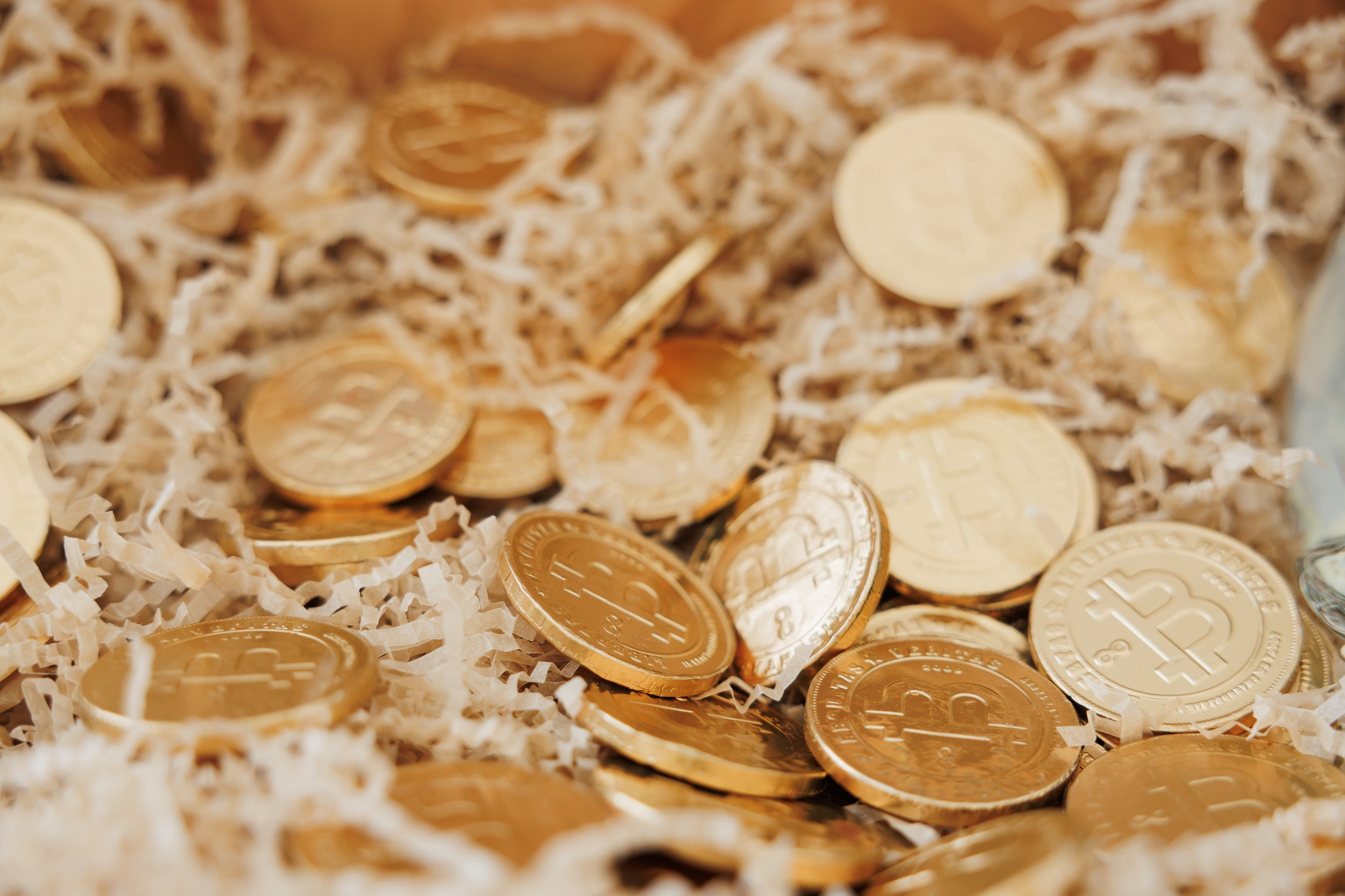 Регаты. Репортажный и свадебный фотограф Катерина Потапова