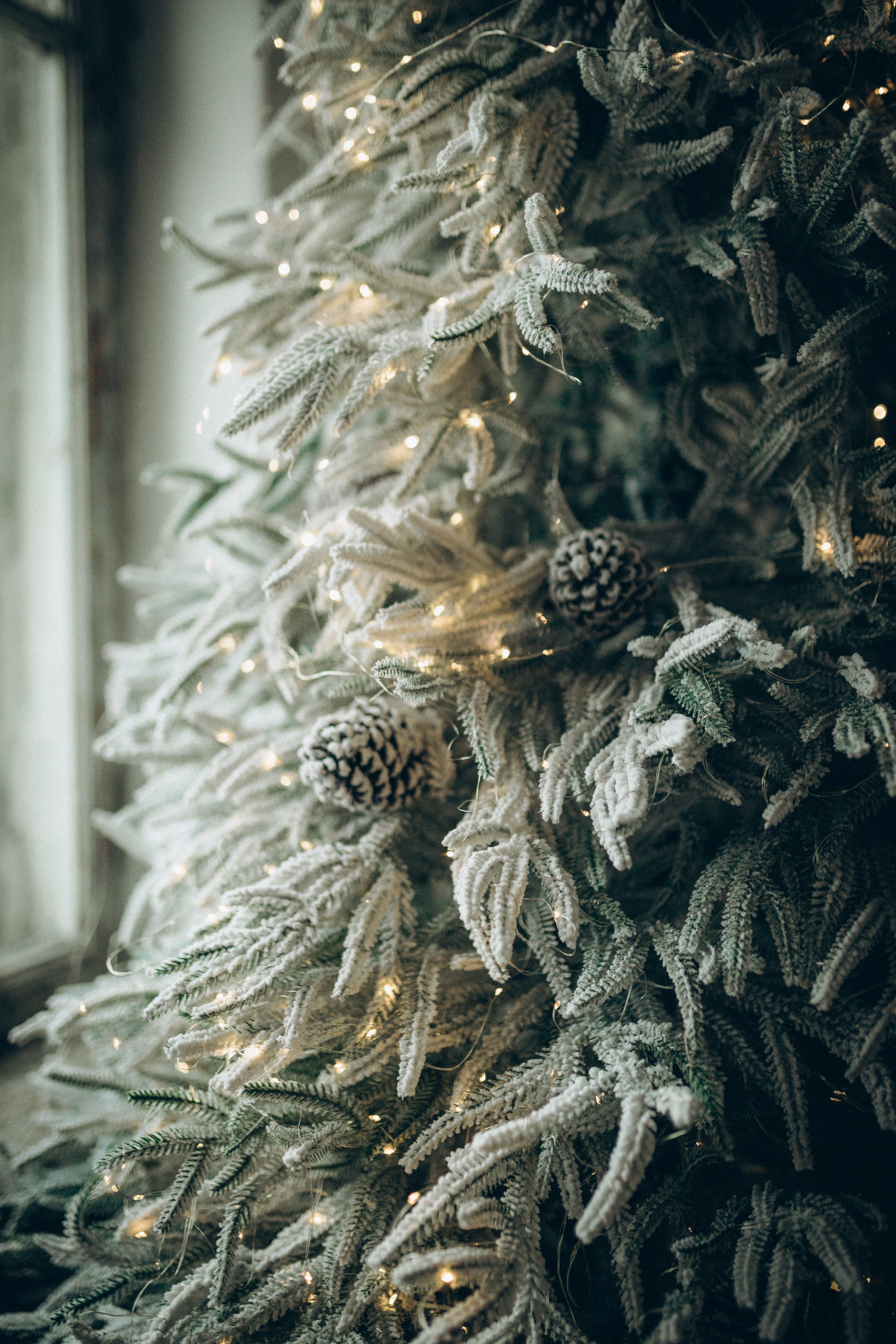 Family story. Семейный фотограф и фотограф на роды в Ростове-на-Дону Мухина Виктория