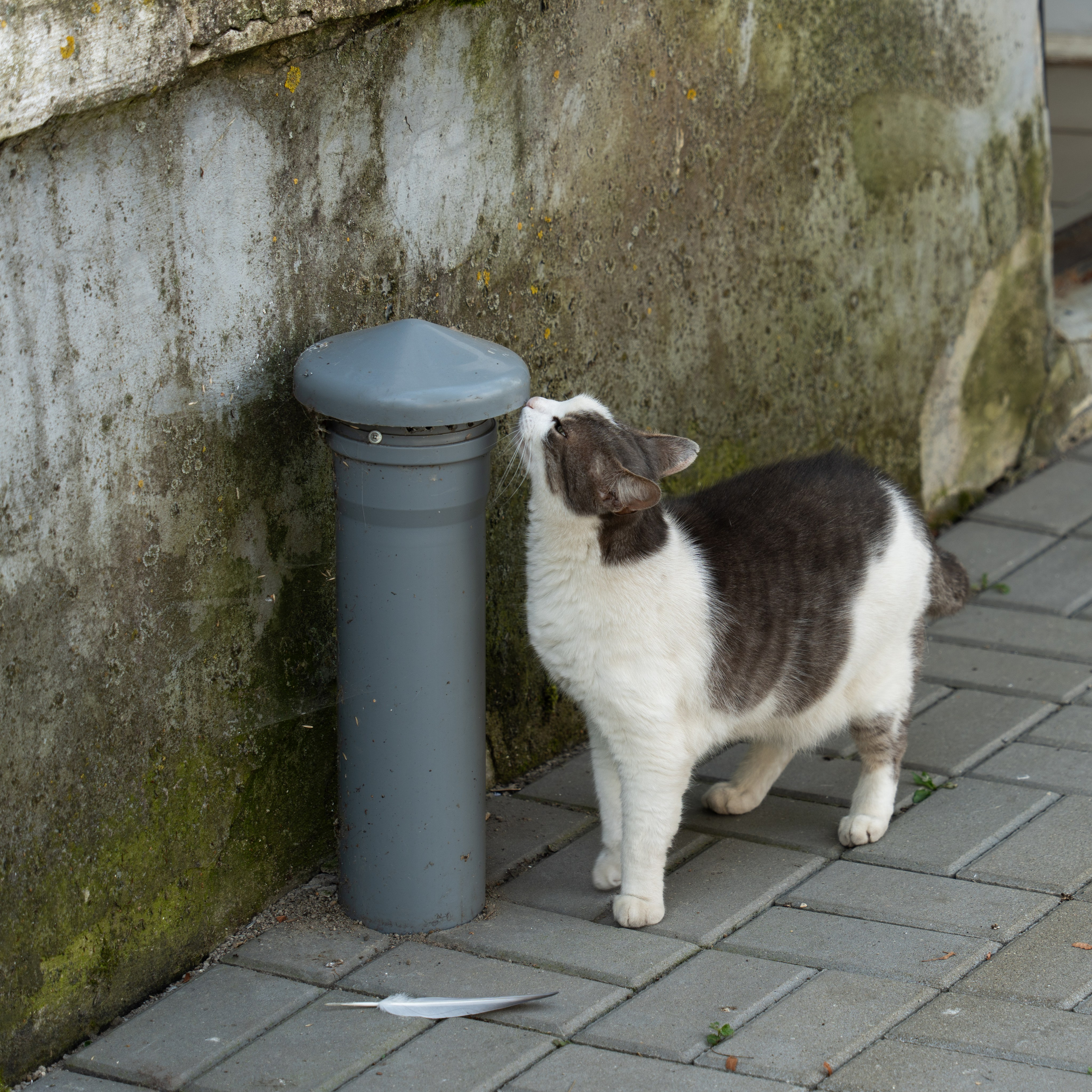 20250729-30 Ростов. Дмитрий Ремизов. Фотография, как хобби