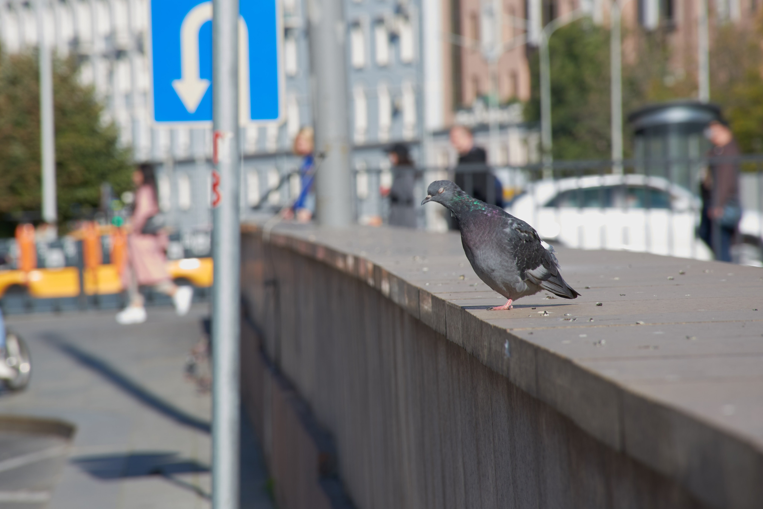 20201004 Бульварное кольцо. Дмитрий Ремизов. Фотография, как хобби