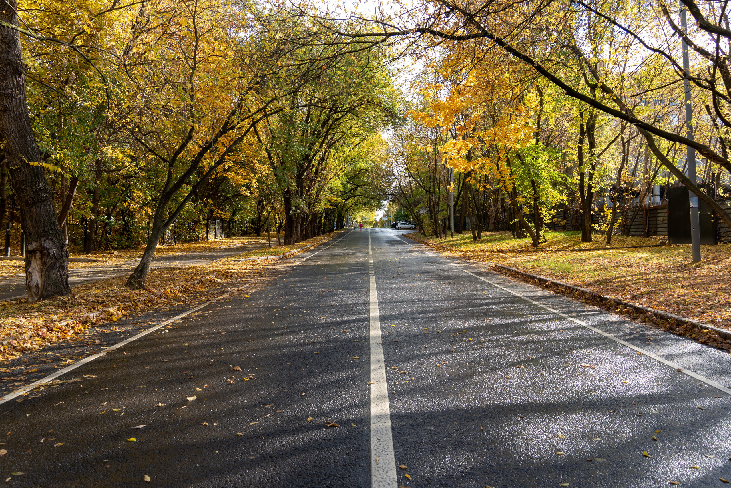 20251012 МГУ. Дмитрий Ремизов. Фотография, как хобби