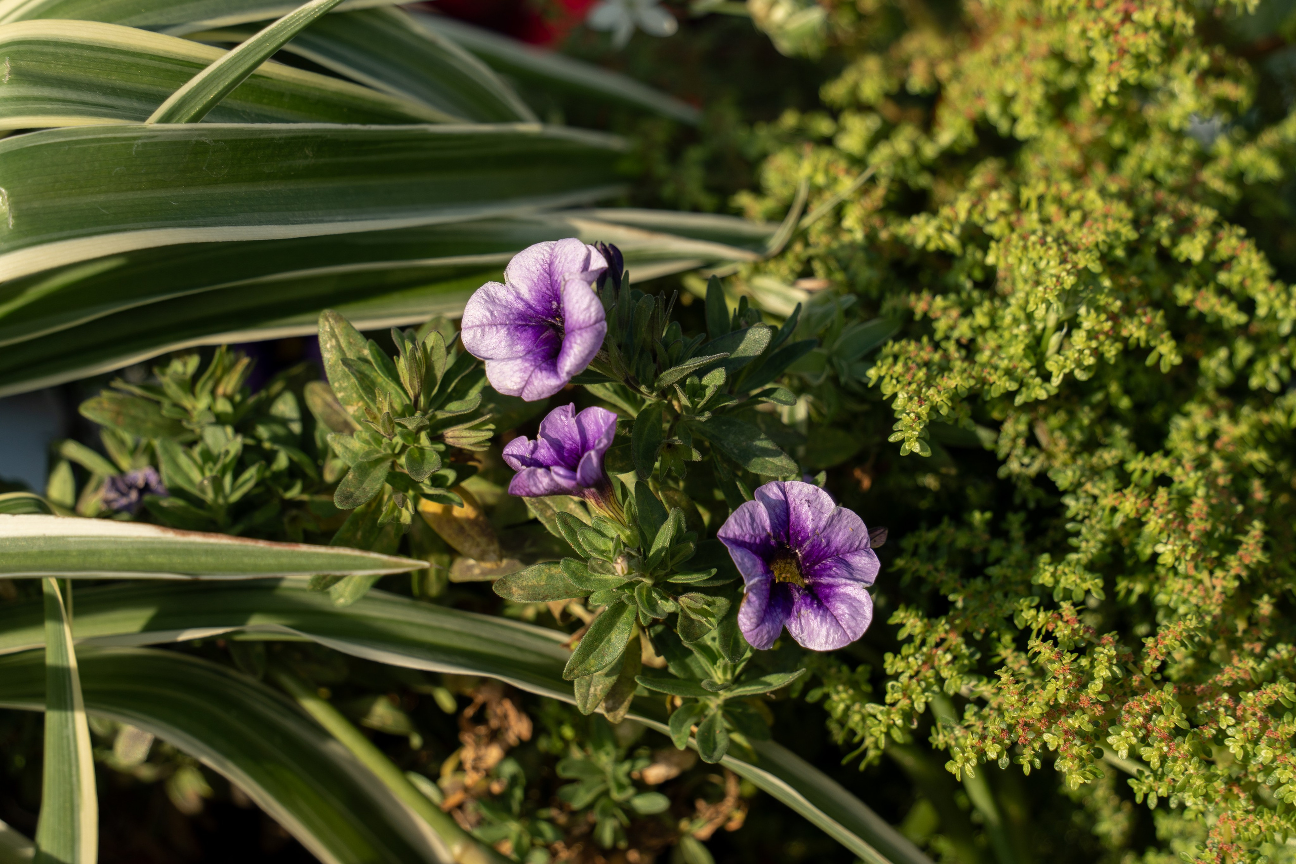 20250830 Полянка — Арбатская. Дмитрий Ремизов. Фотография, как хобби