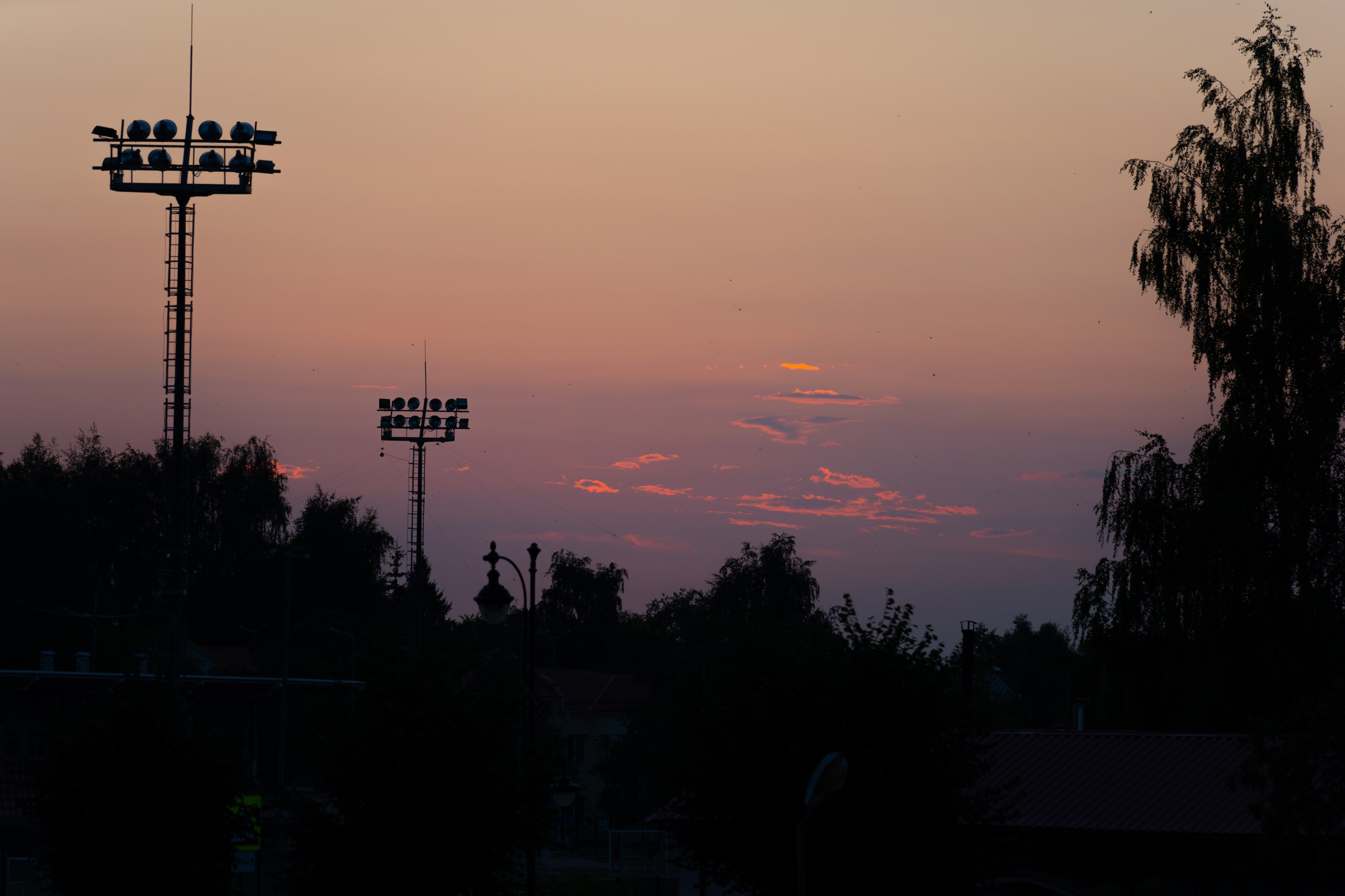 20250729-30 Ростов. Дмитрий Ремизов. Фотография, как хобби