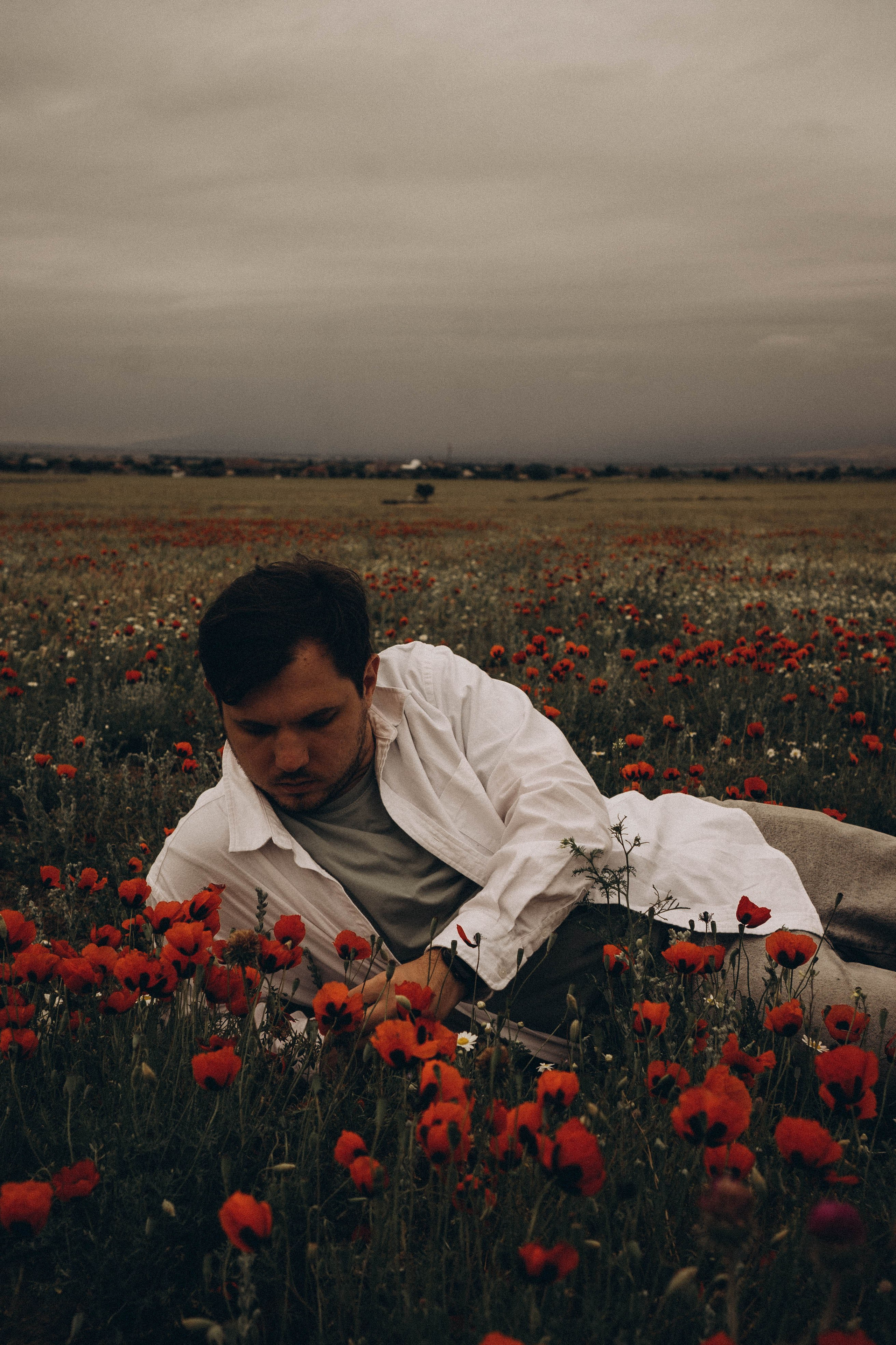 Маки. Профессиональный фотограф, Санкт-Петербург — Виктория Богомолова