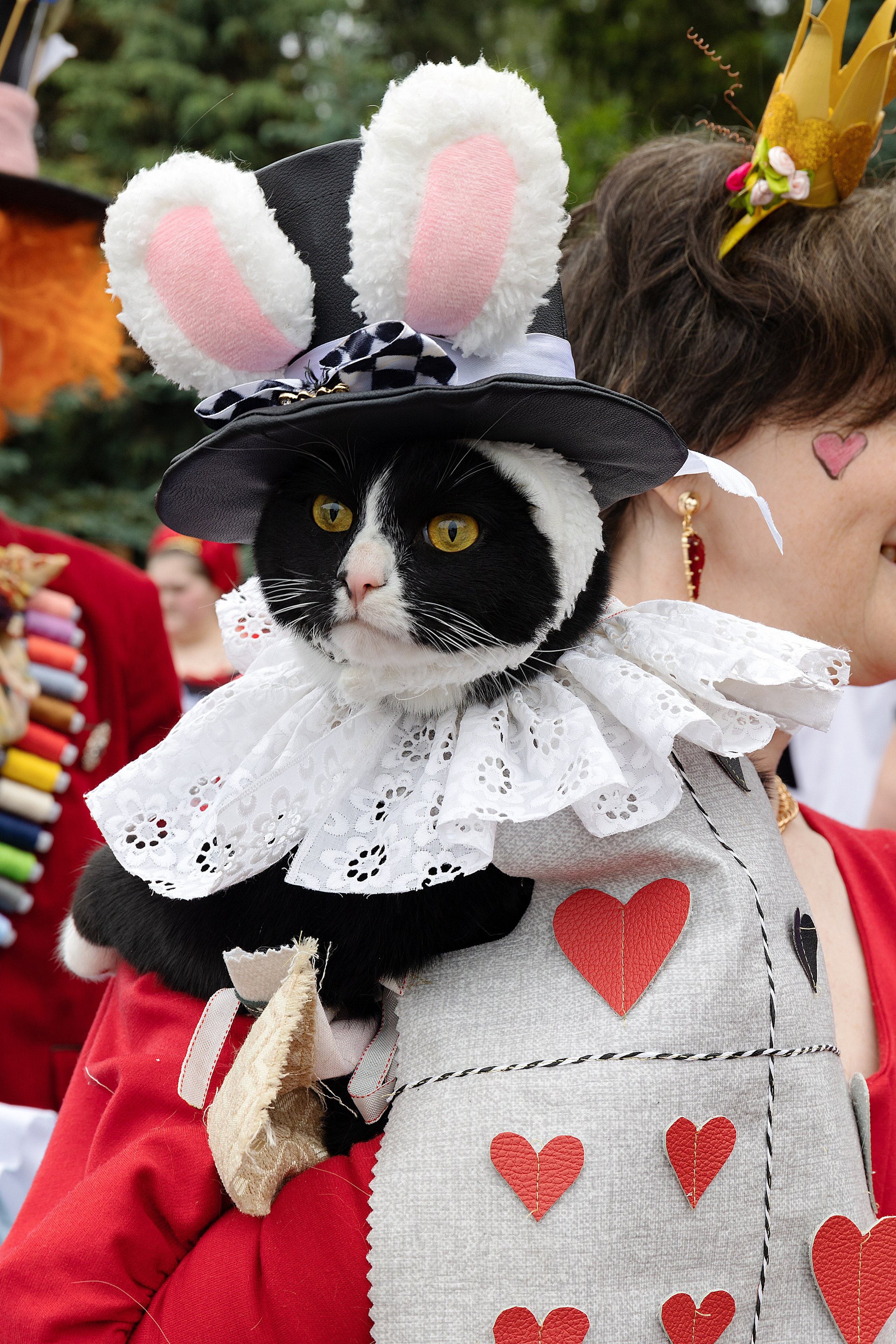 Анималистика