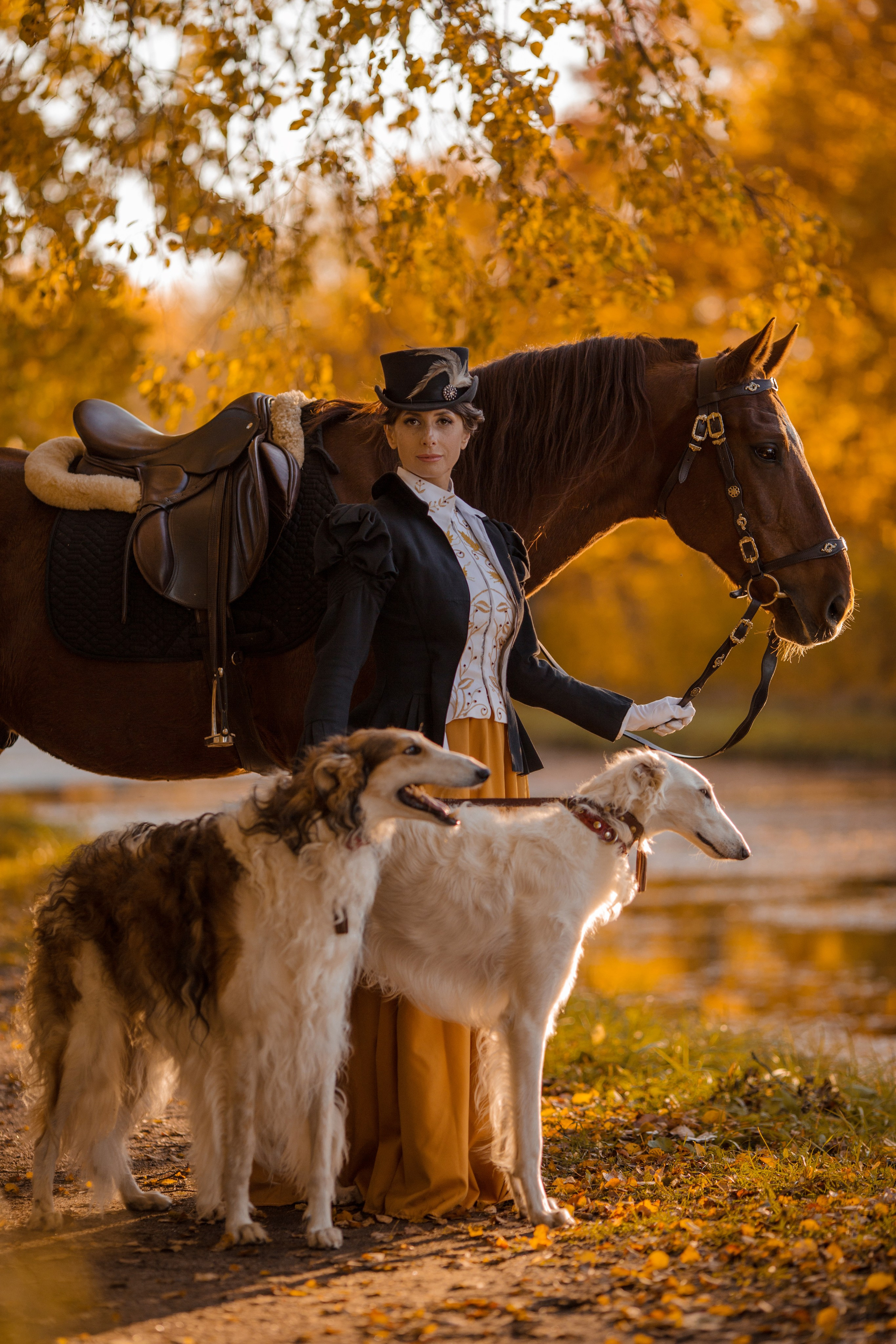 Фотосессия с двумя борзыми 