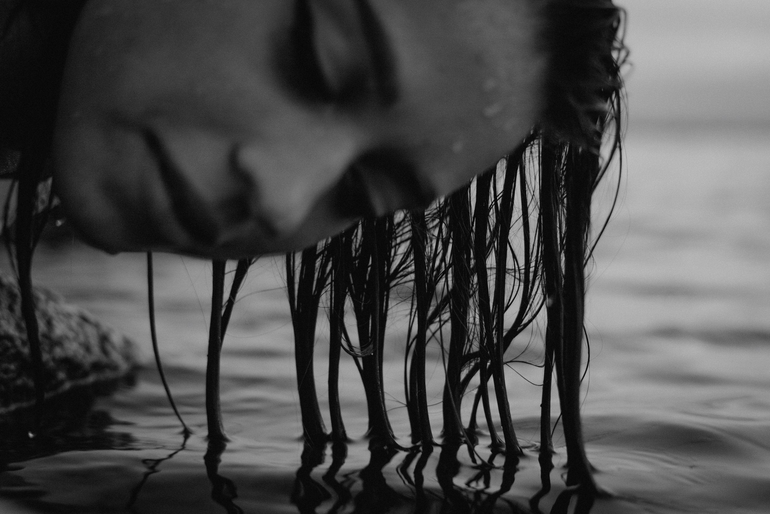 ALICE. Фотограф