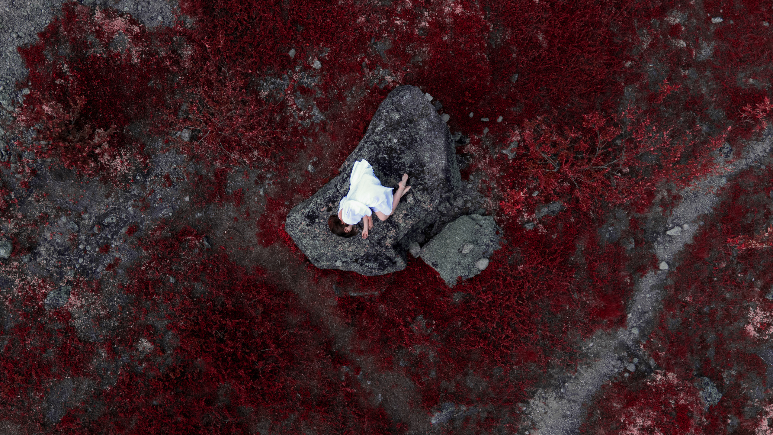 DINARA. Фотограф