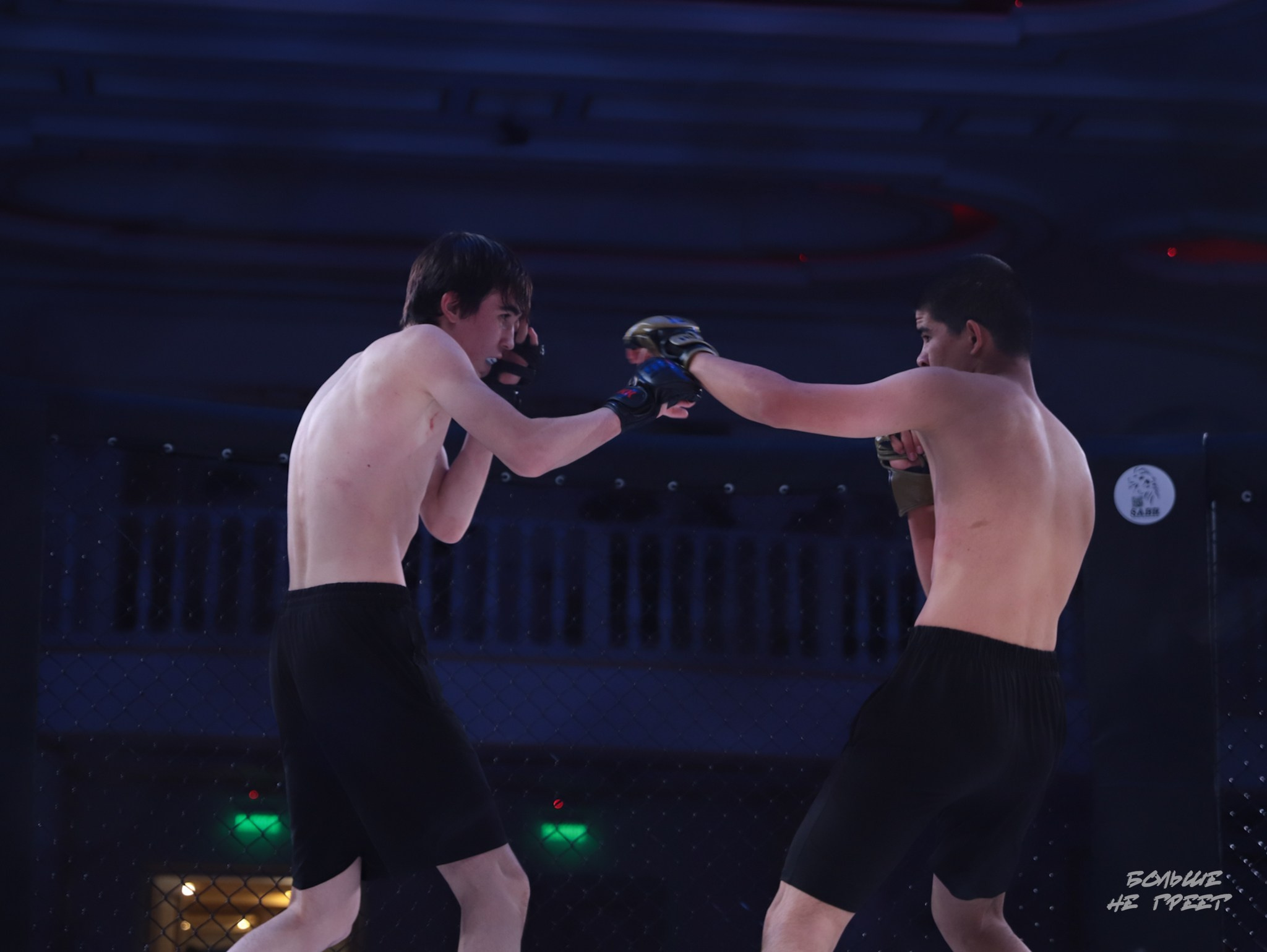 SABR FIGHTING. Больше не греет