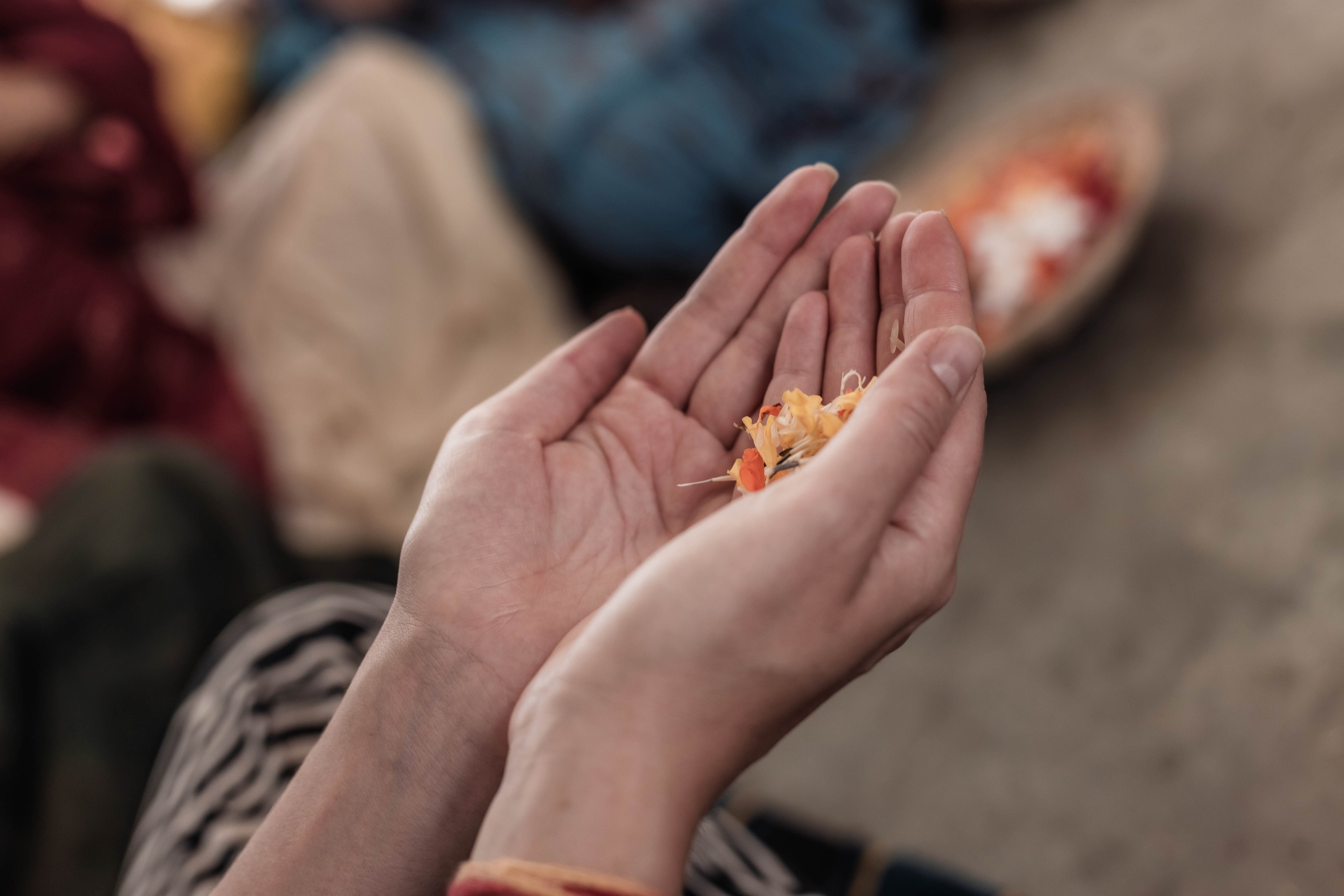 Pitri Paksha yagyas & poojas Devraha Baba ji ashram. Mariam Bagdasaryan