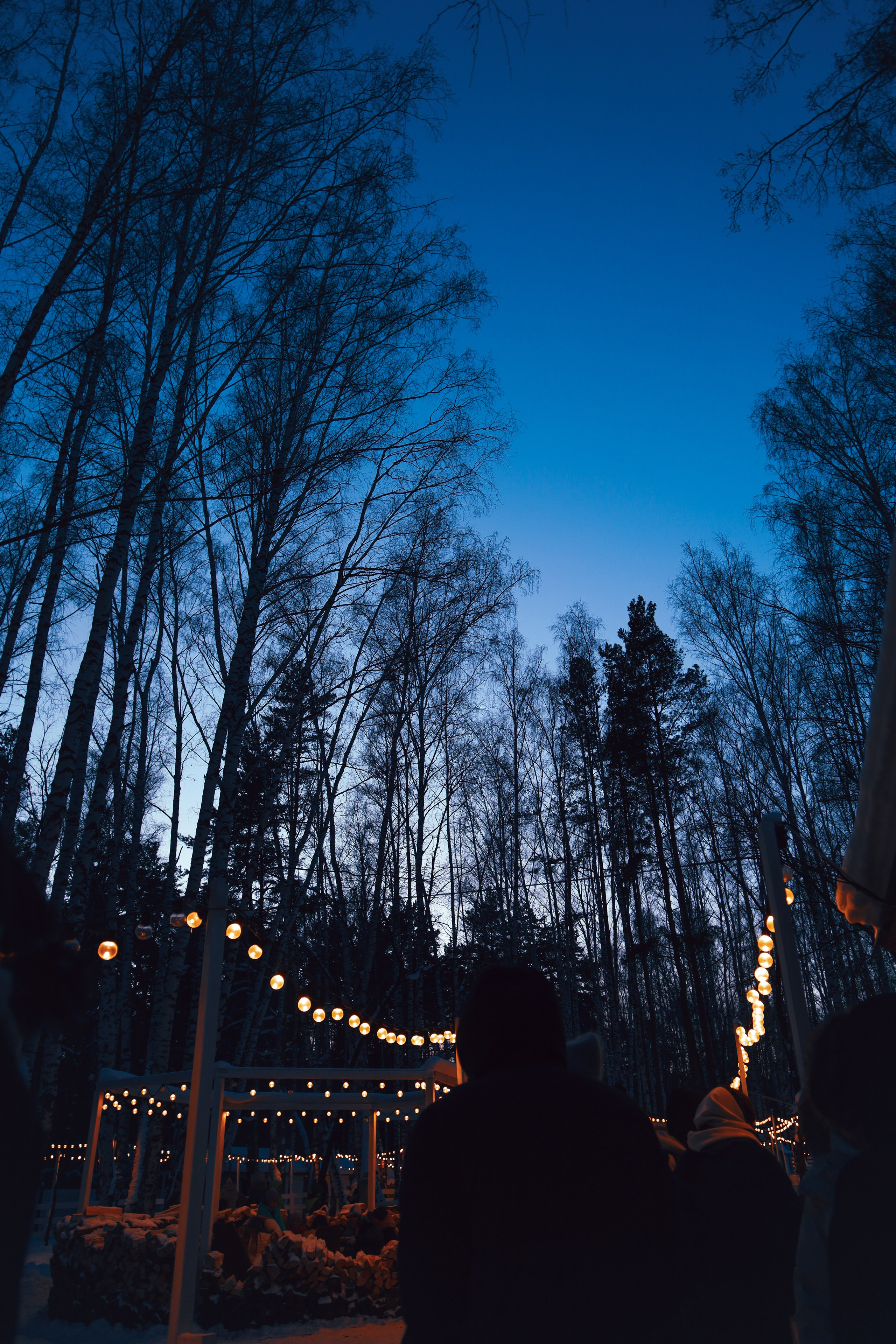 Alpaca park. Фотограф/дизайнер в Екатеринбурге Хитрый Дмитрий