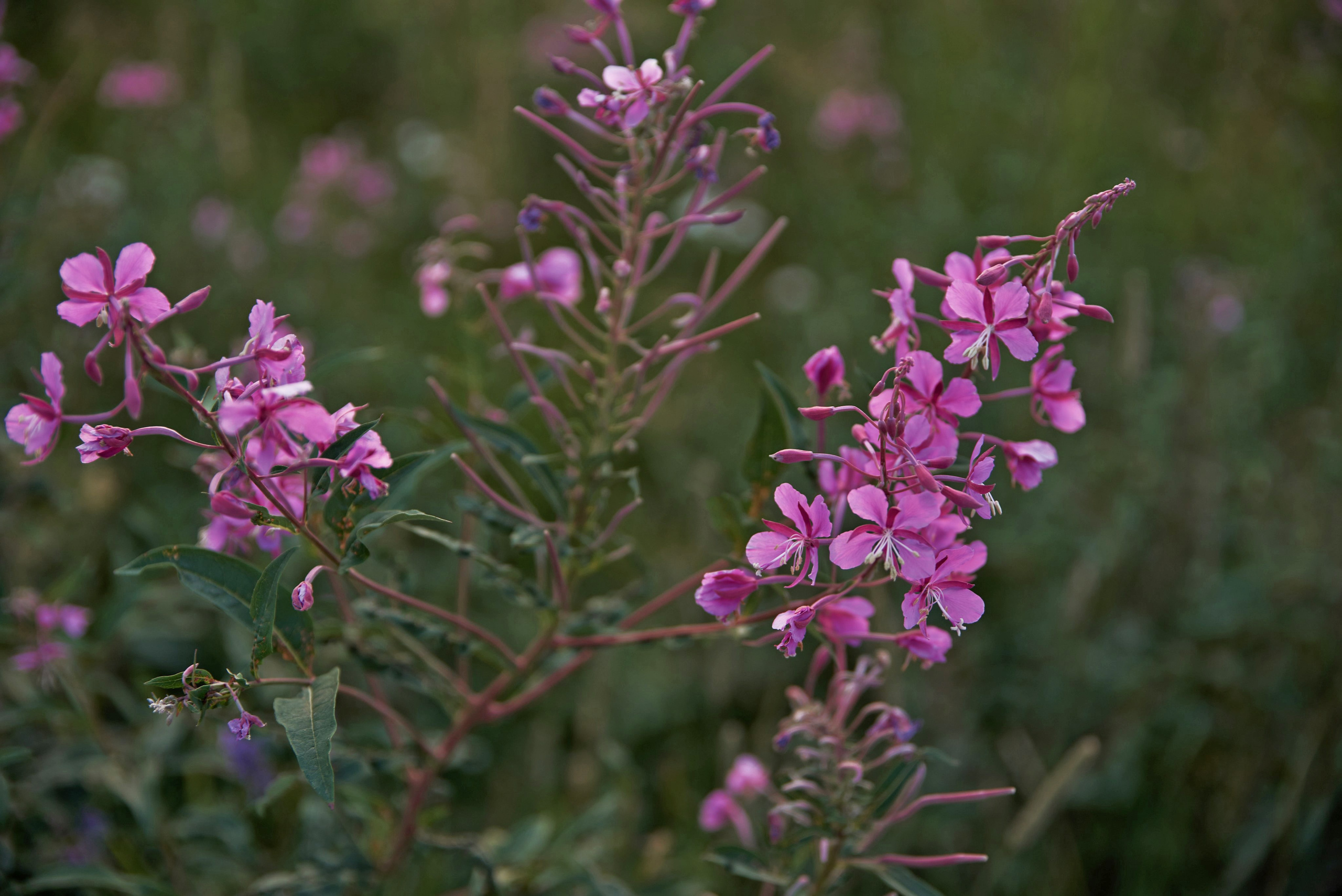 МЕБЕЛЬ ИЗ МЕТАЛЛА. Интерьерный и архитектурный фотограф в Сочи МАКСИМ КСЕНЗОВ