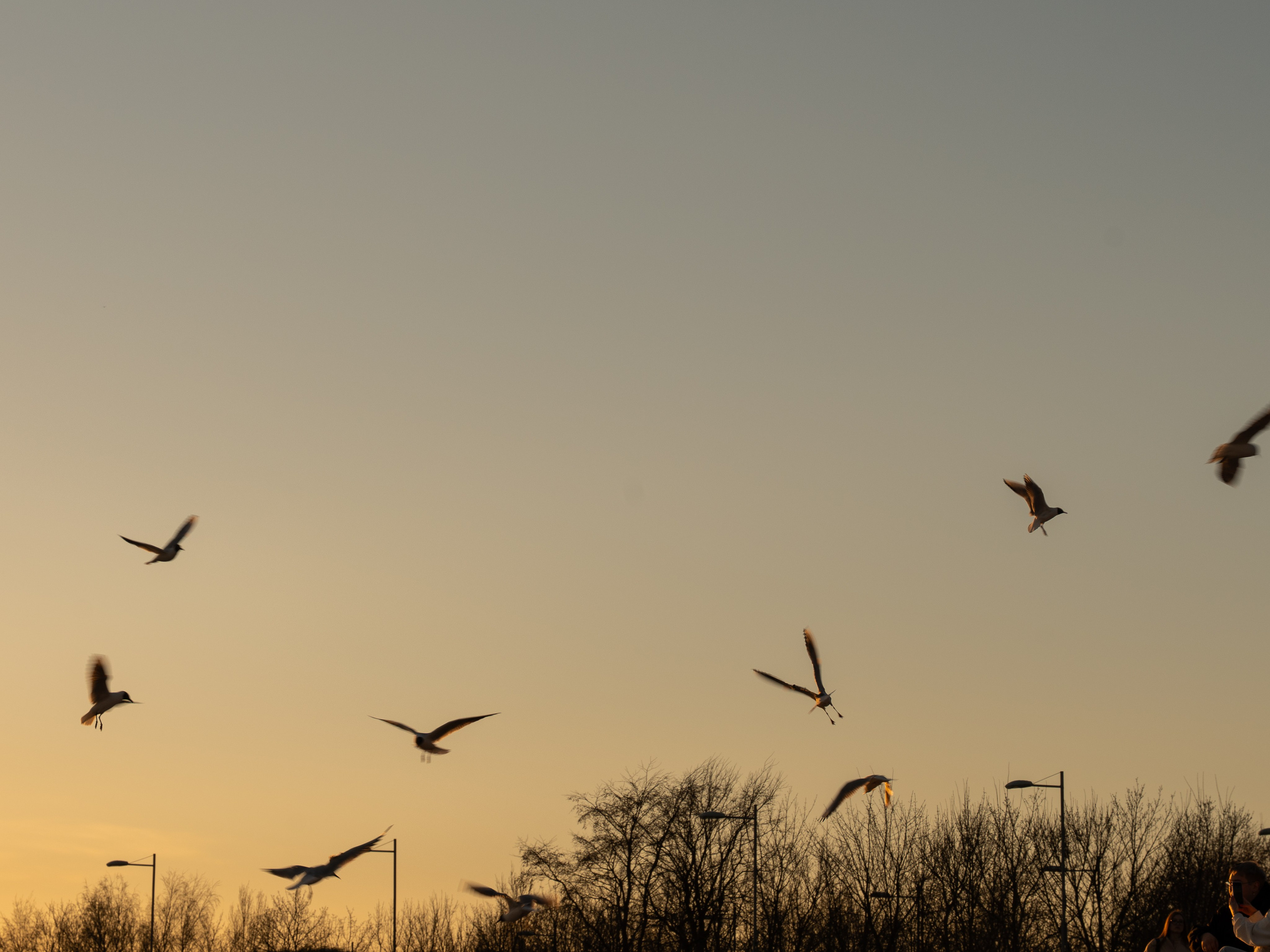 Свадебный фотограф Москва. Истории любви и семейные съёмки. ФОТОГРАФ Любовь Скок. Москва