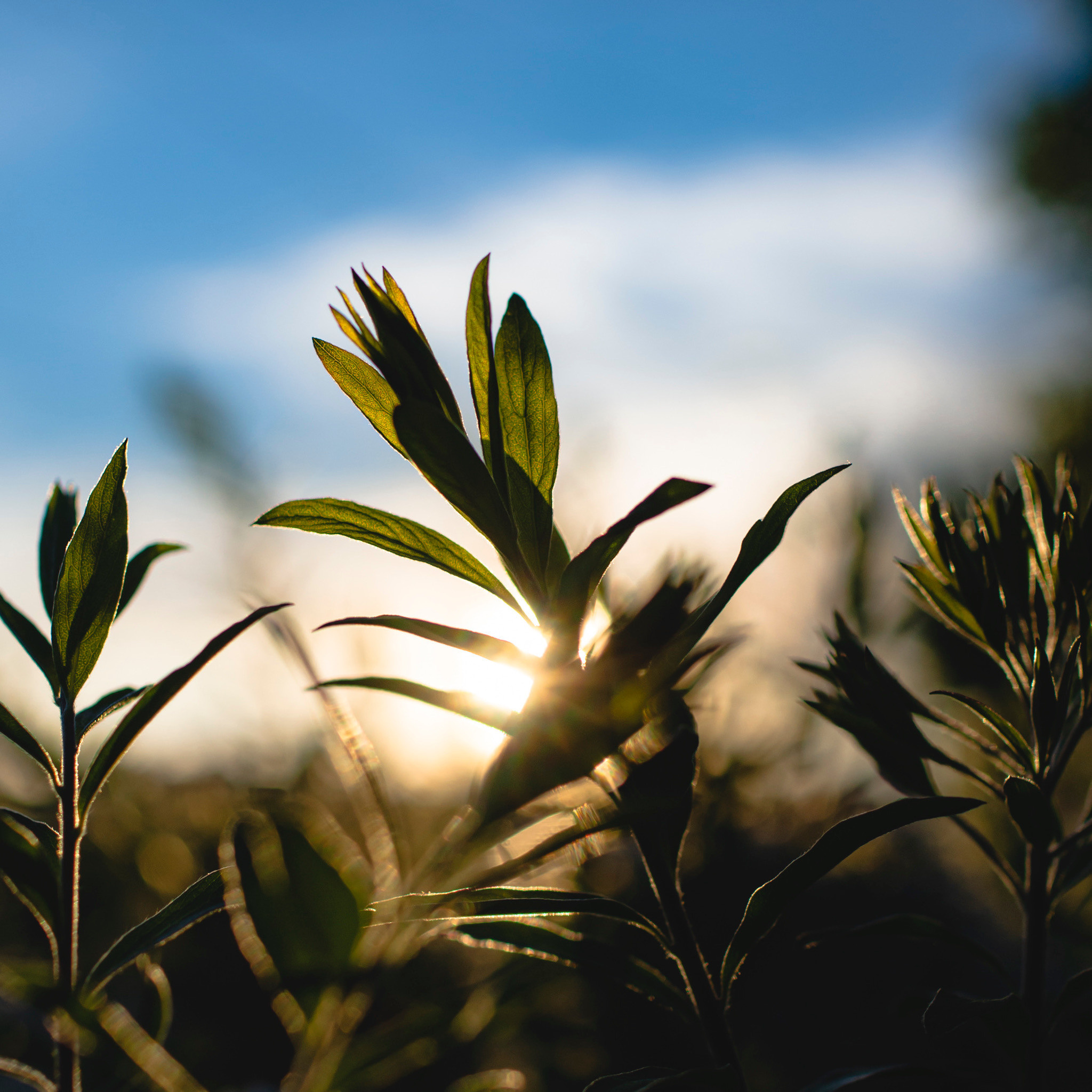 Примеры работ. Музеи. Магазины. Фотограф в Самаре Сергей Зайцев