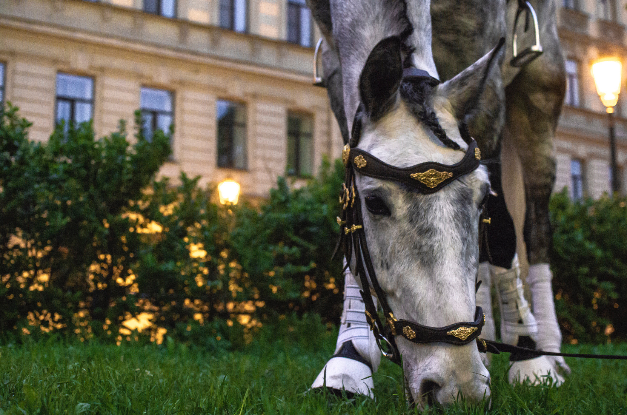 Примеры работ. Музеи. Магазины. Фотограф в Самаре Сергей Зайцев