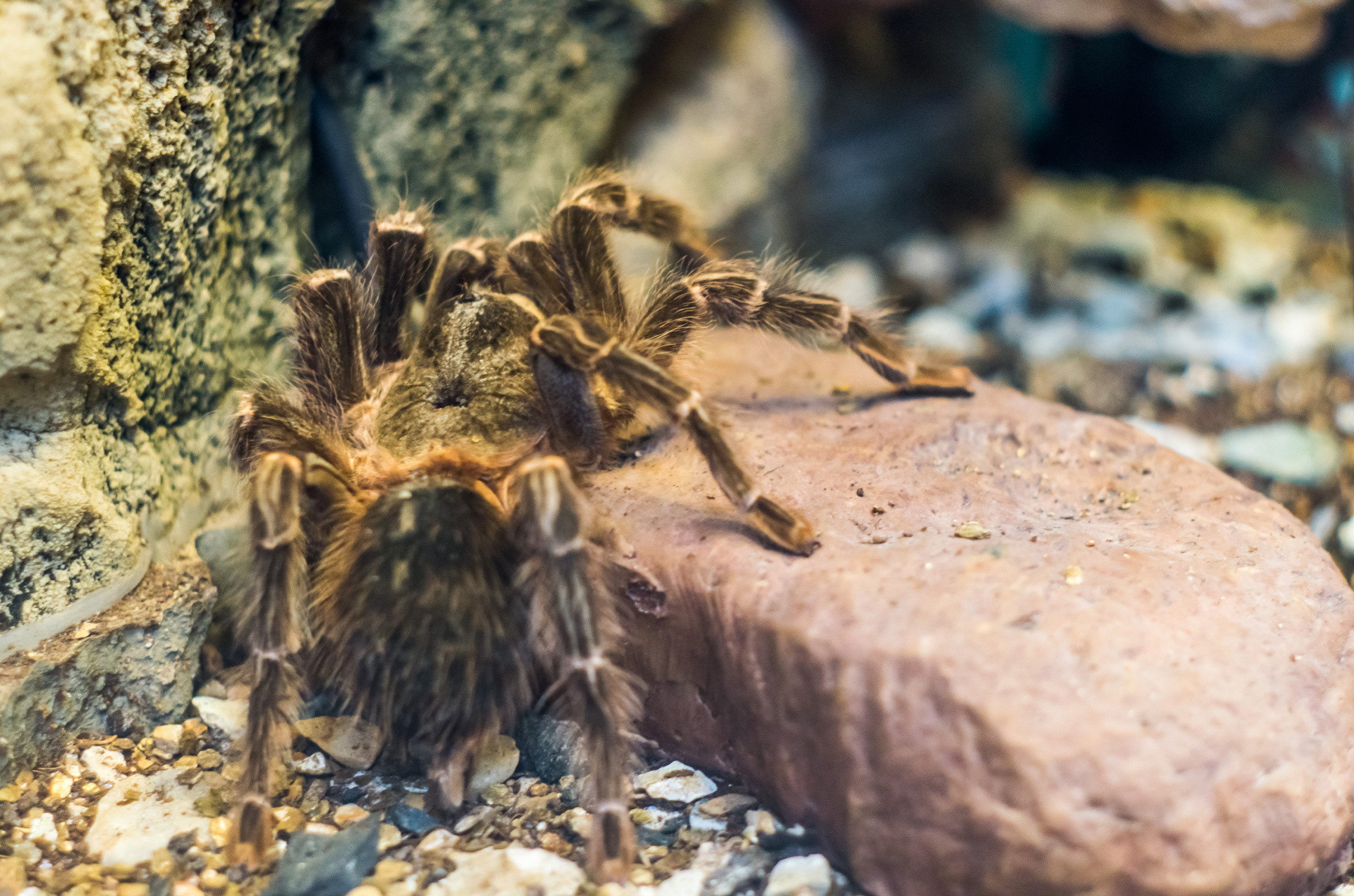 Примеры работ. Музеи. Магазины. Фотограф в Самаре Сергей Зайцев