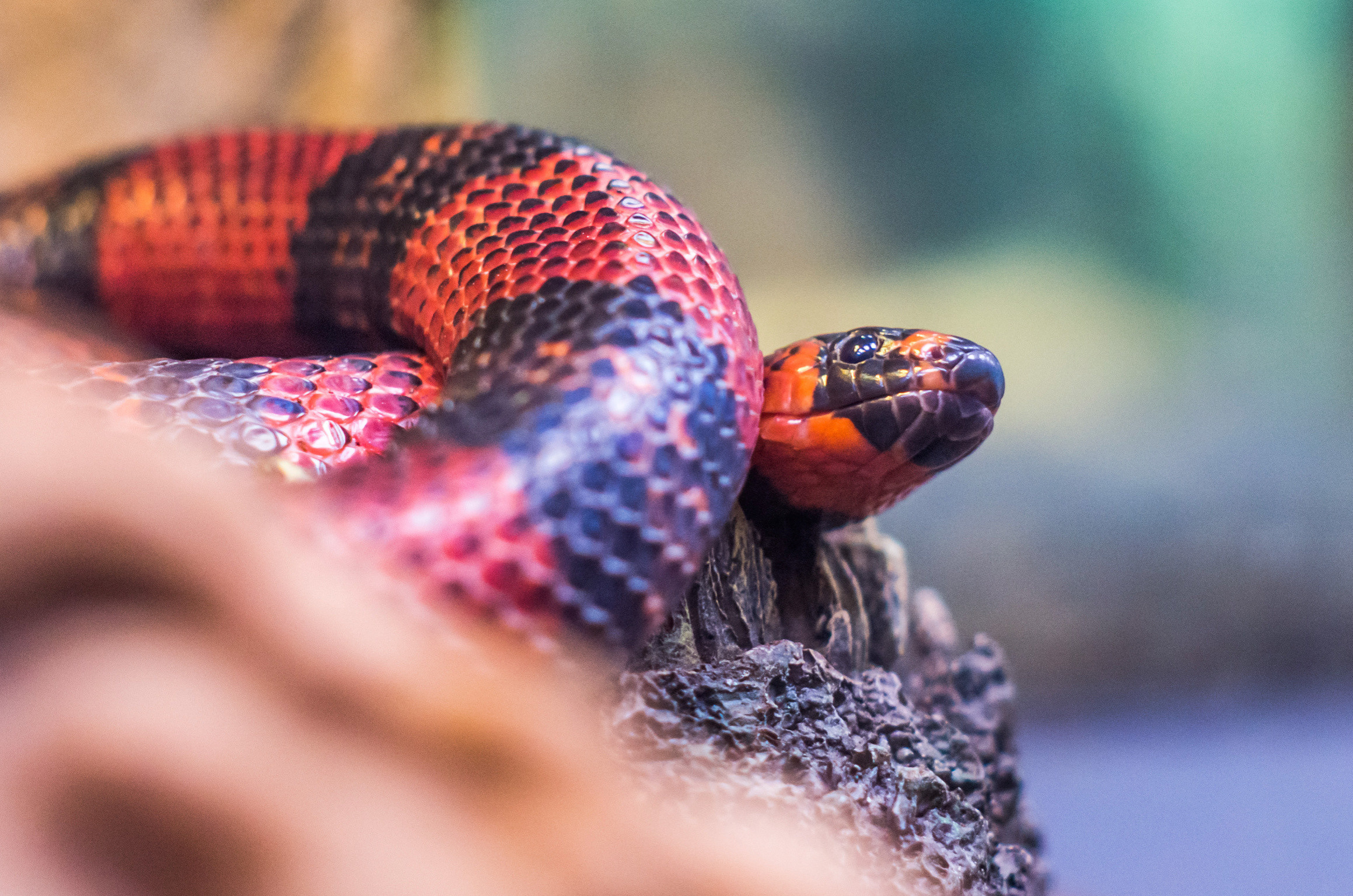 Примеры работ. Музеи. Магазины. Фотограф в Самаре Сергей Зайцев