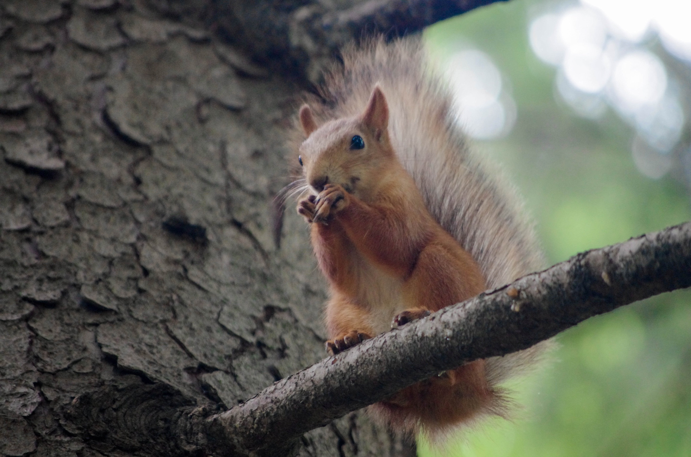 Примеры работ. Музеи. Магазины. Фотограф в Самаре Сергей Зайцев