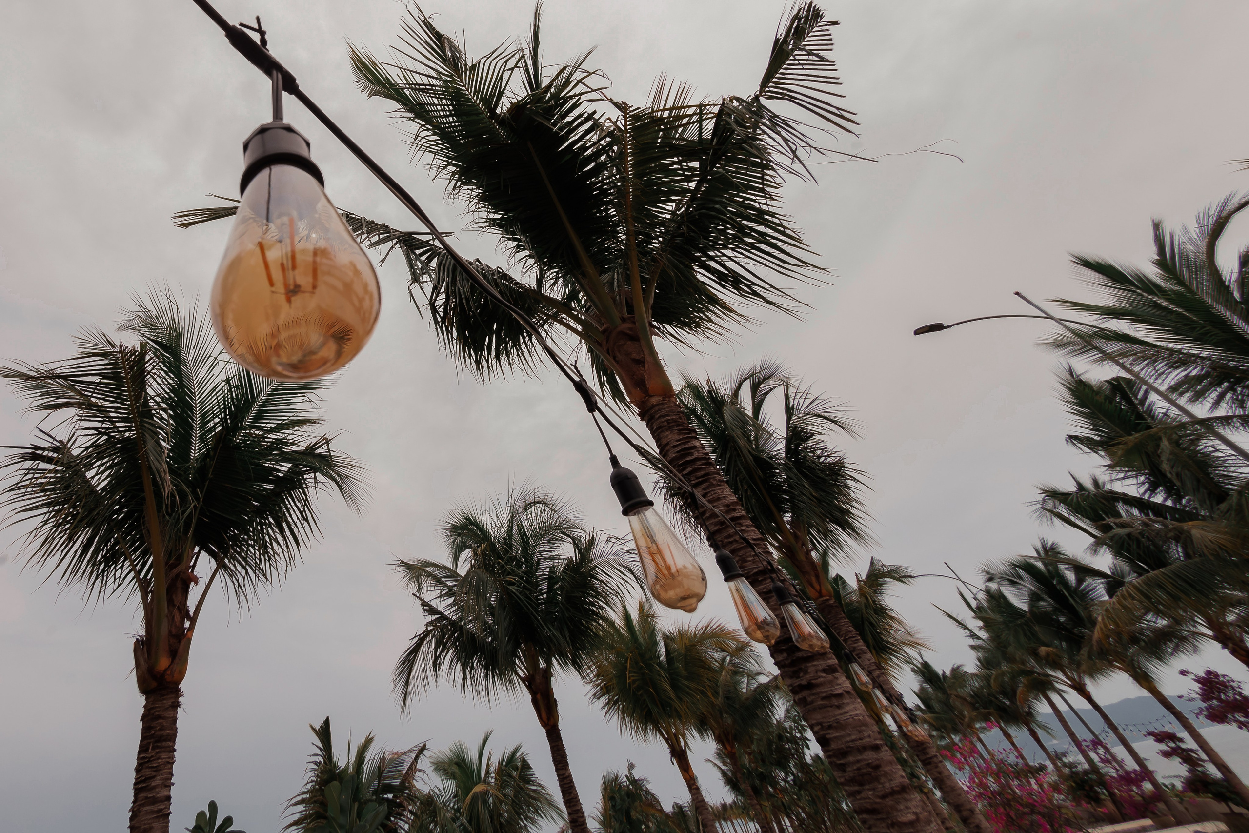 ВЬЕТНАМ 2023 / VIEtTNAM 2024. Главная