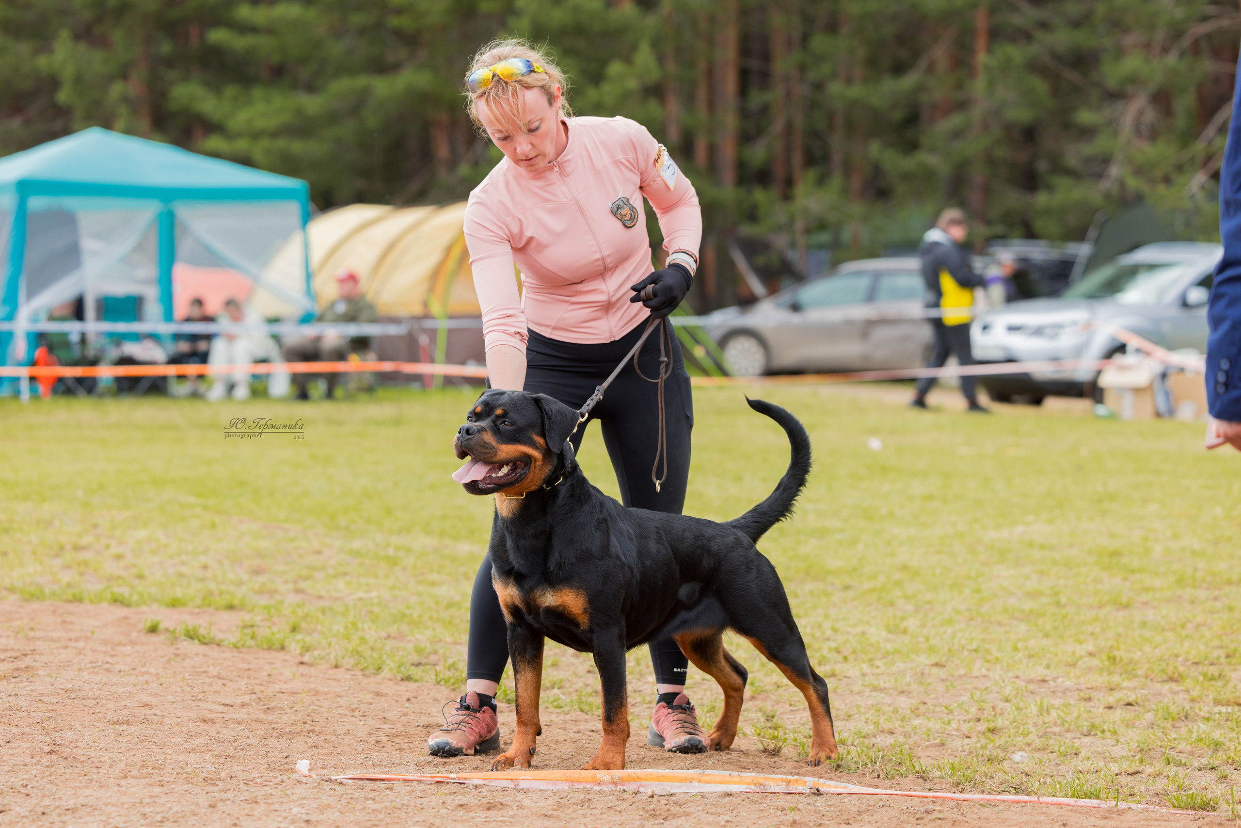 Тверь ротвейлеры 5-6.07.2025. Фотограф-анималист Юлия Германика