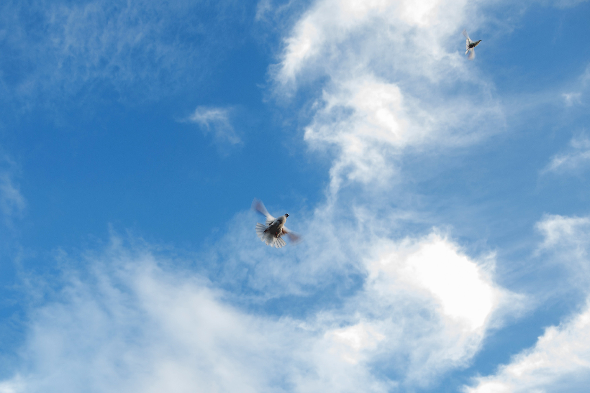 Выпускной-2020, Лихославль. Фотограф в Твери и Москве Юлия Бахтамова