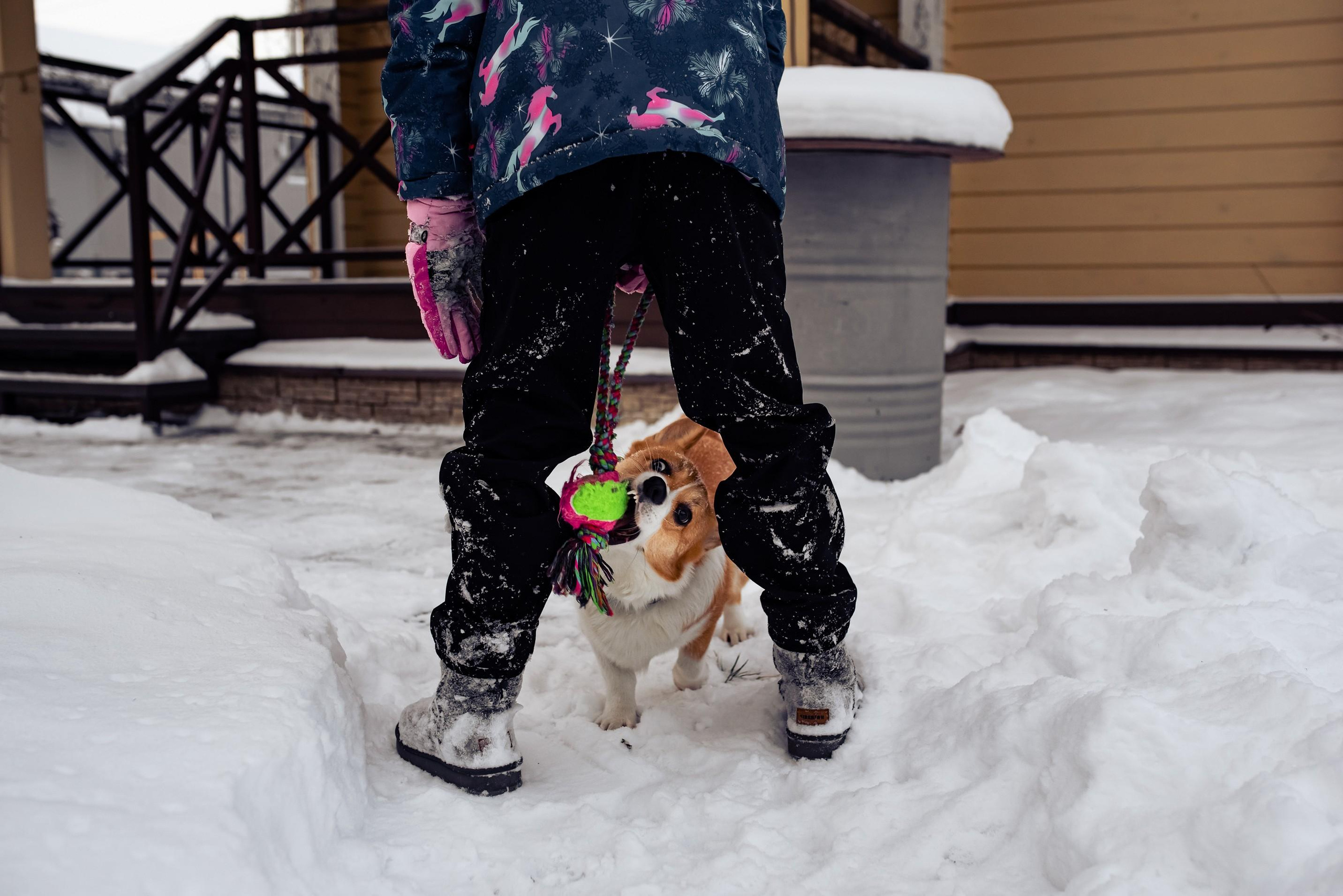 Лаки Парк. Фотограф в Болгарии. Фотограф в Созополе