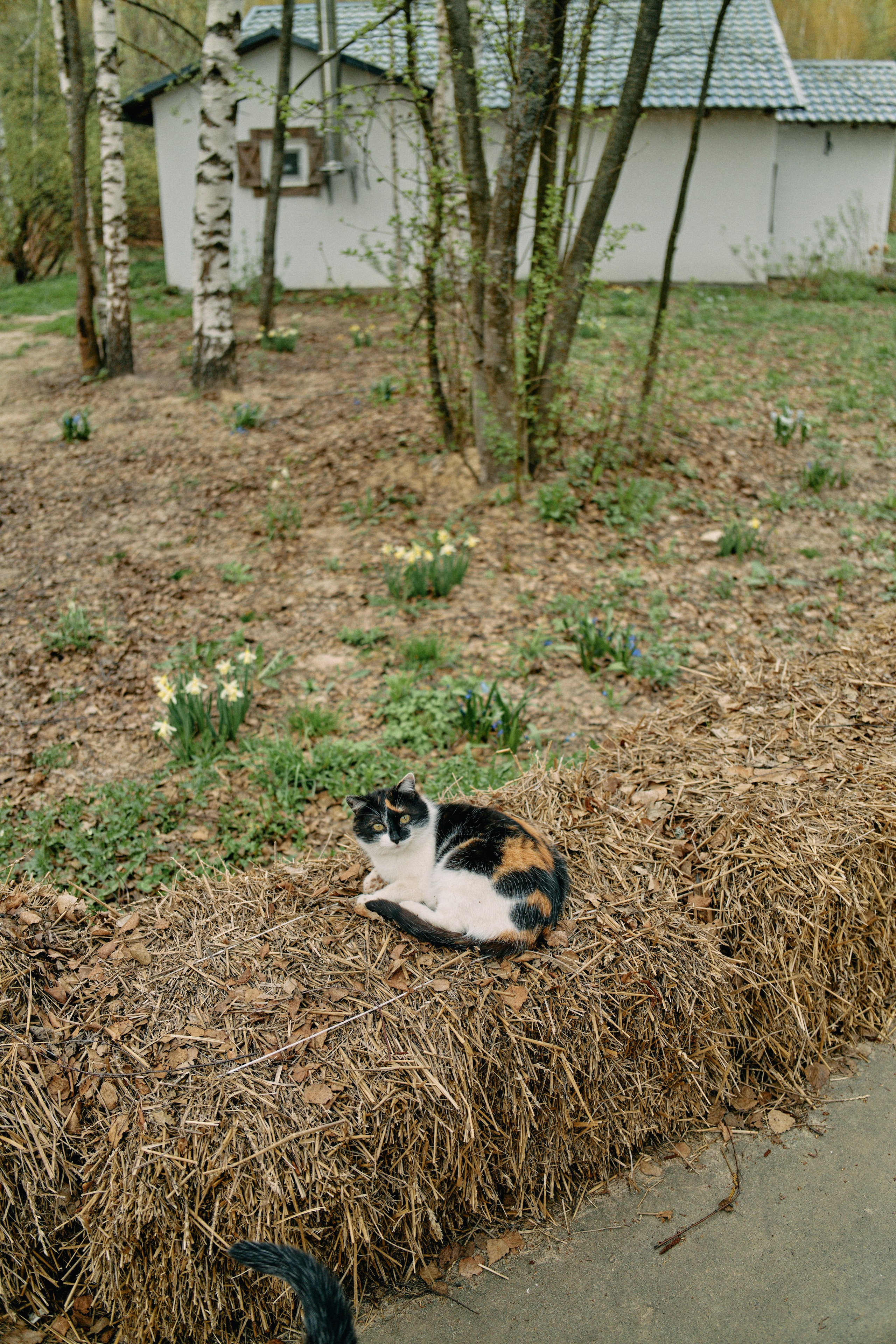 Бутик-отель Поле летом. Профессиональный Фотограф во Владимире, в Москве и в Суздале — Полина Романычева