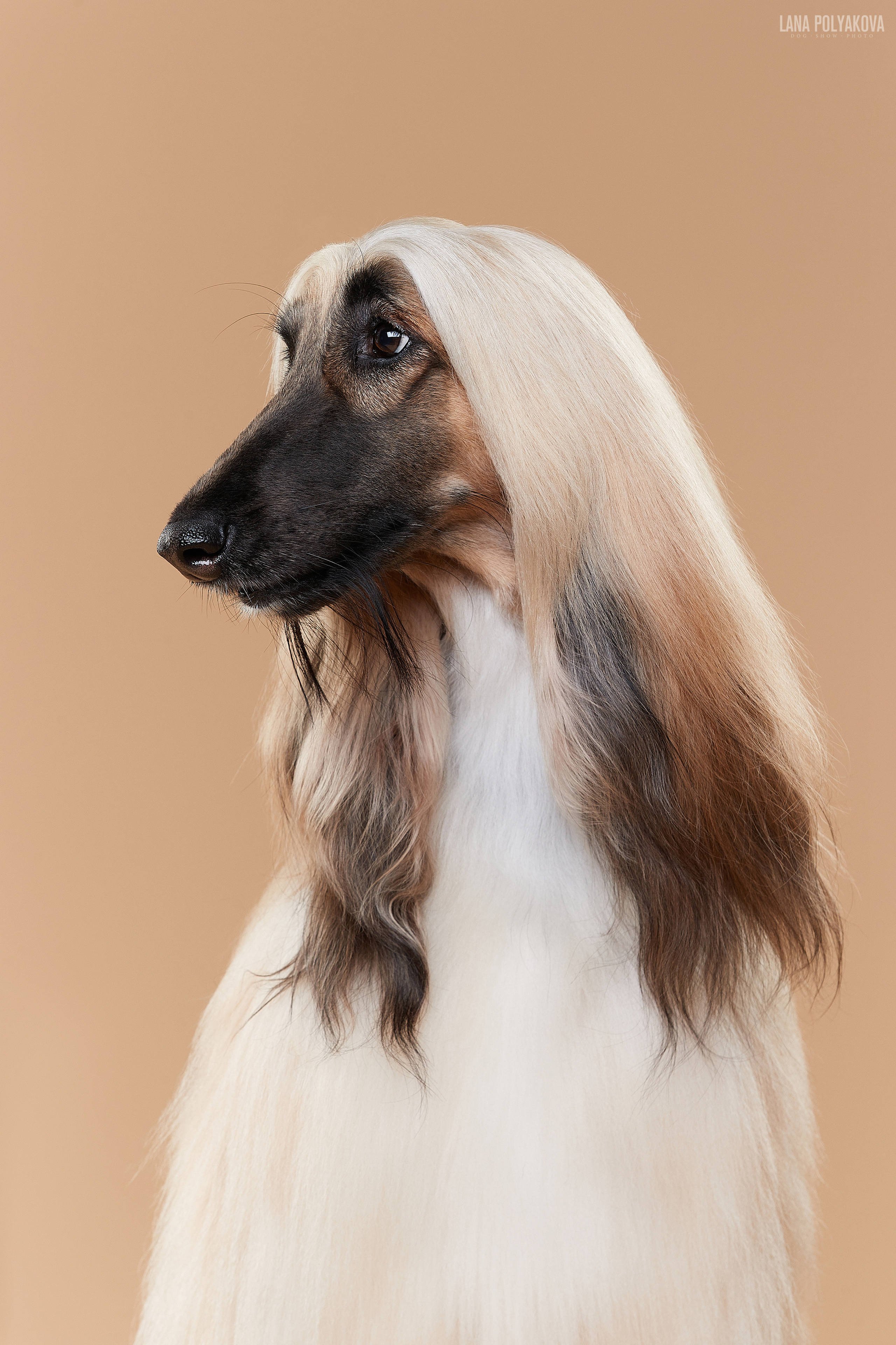 Фотограф Лана Полякова. Студийные кадры