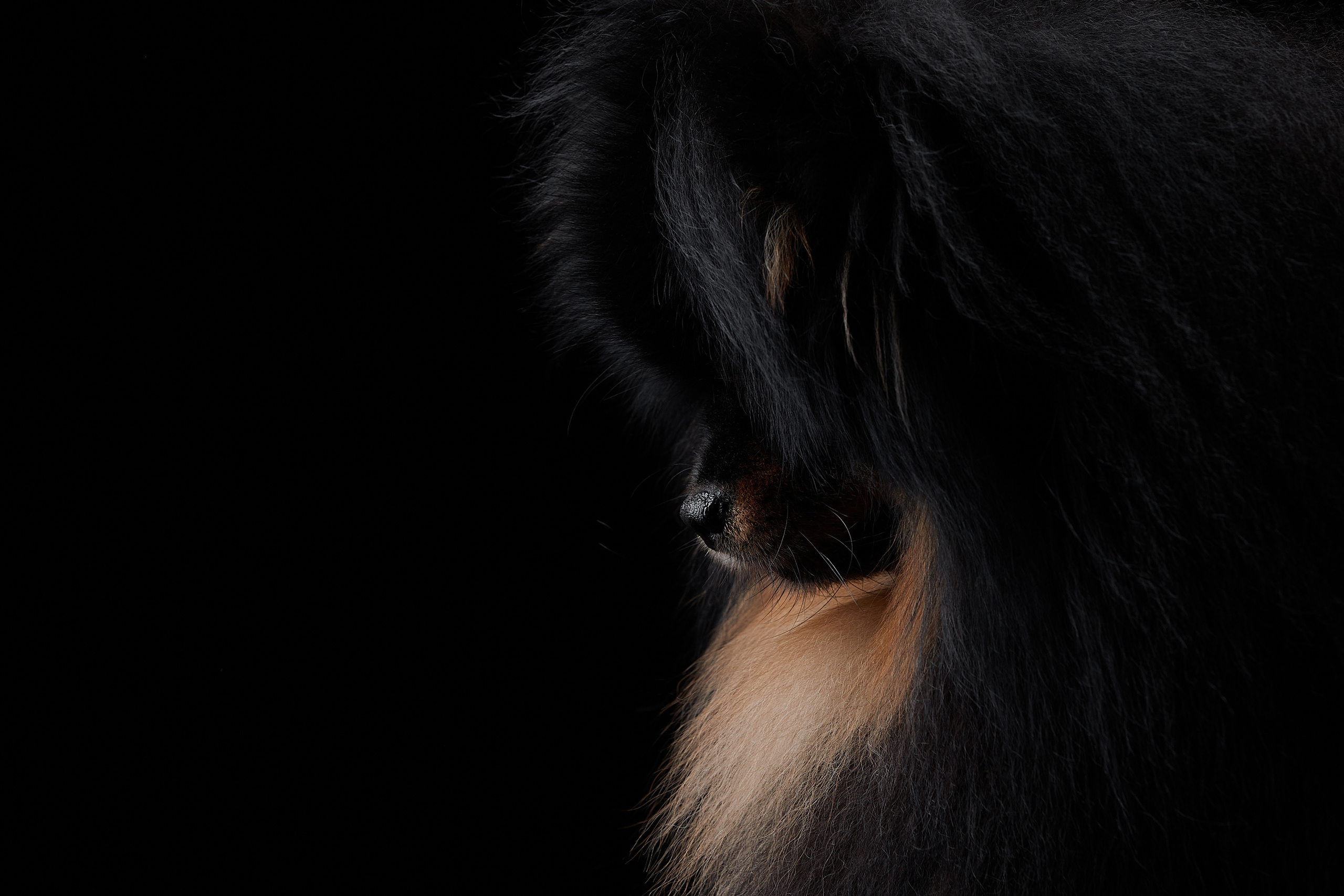 Фотограф Лана Полякова. Студийные кадры