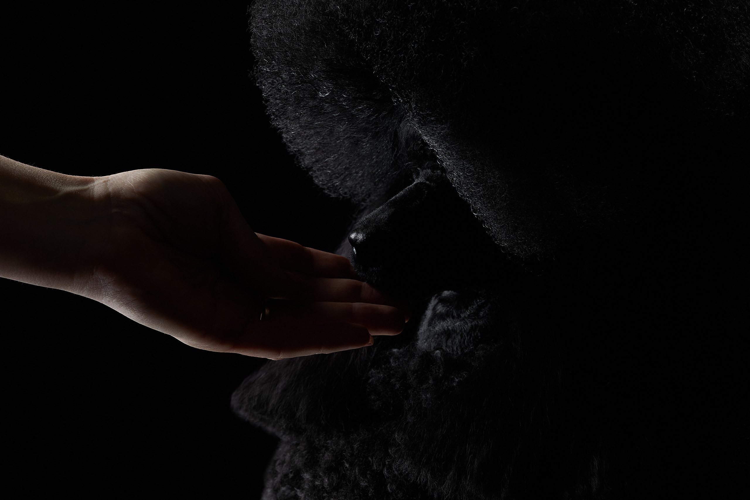 Фотограф Лана Полякова. Студийные кадры