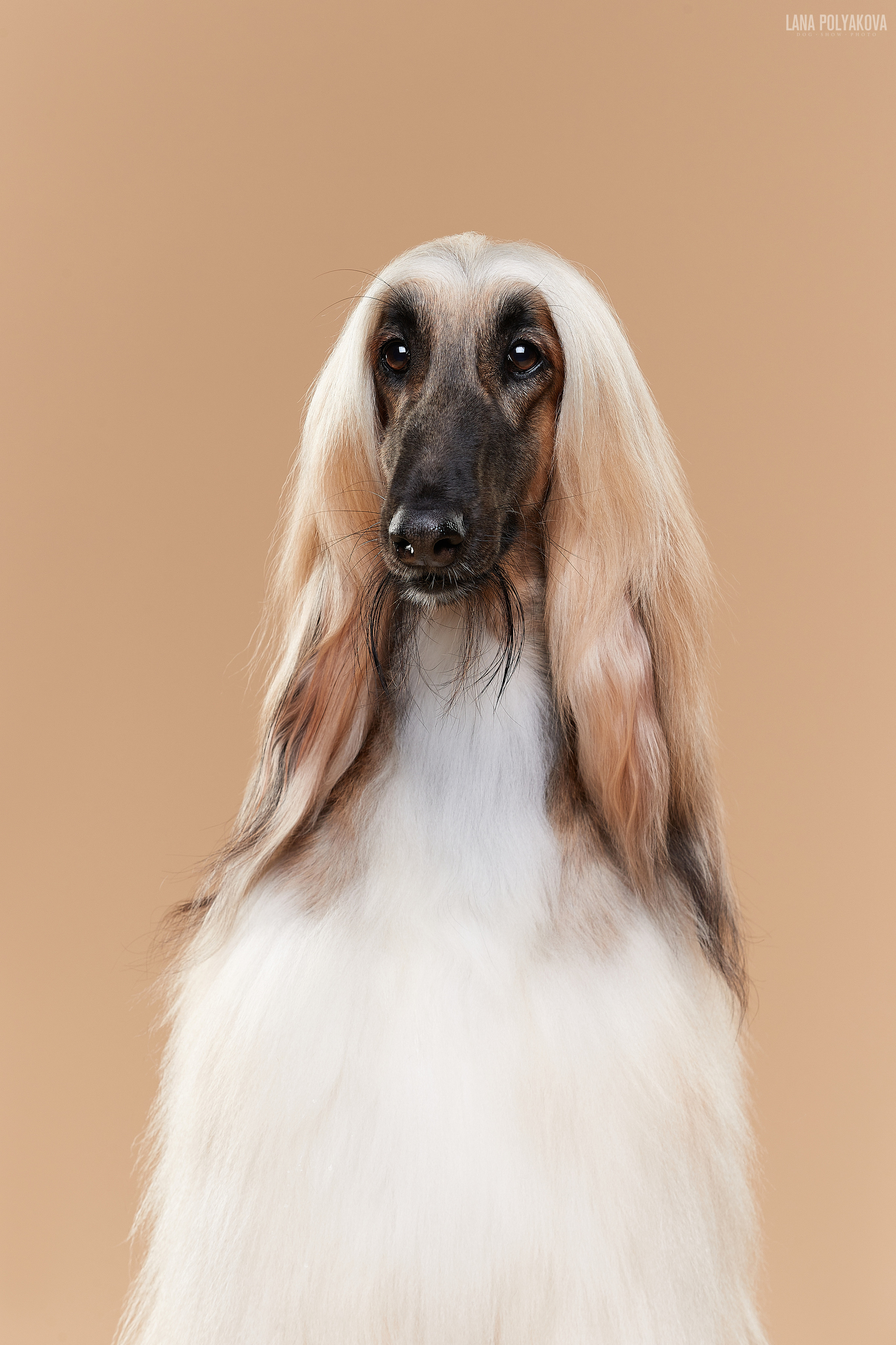 Фотограф Лана Полякова. Студийные кадры