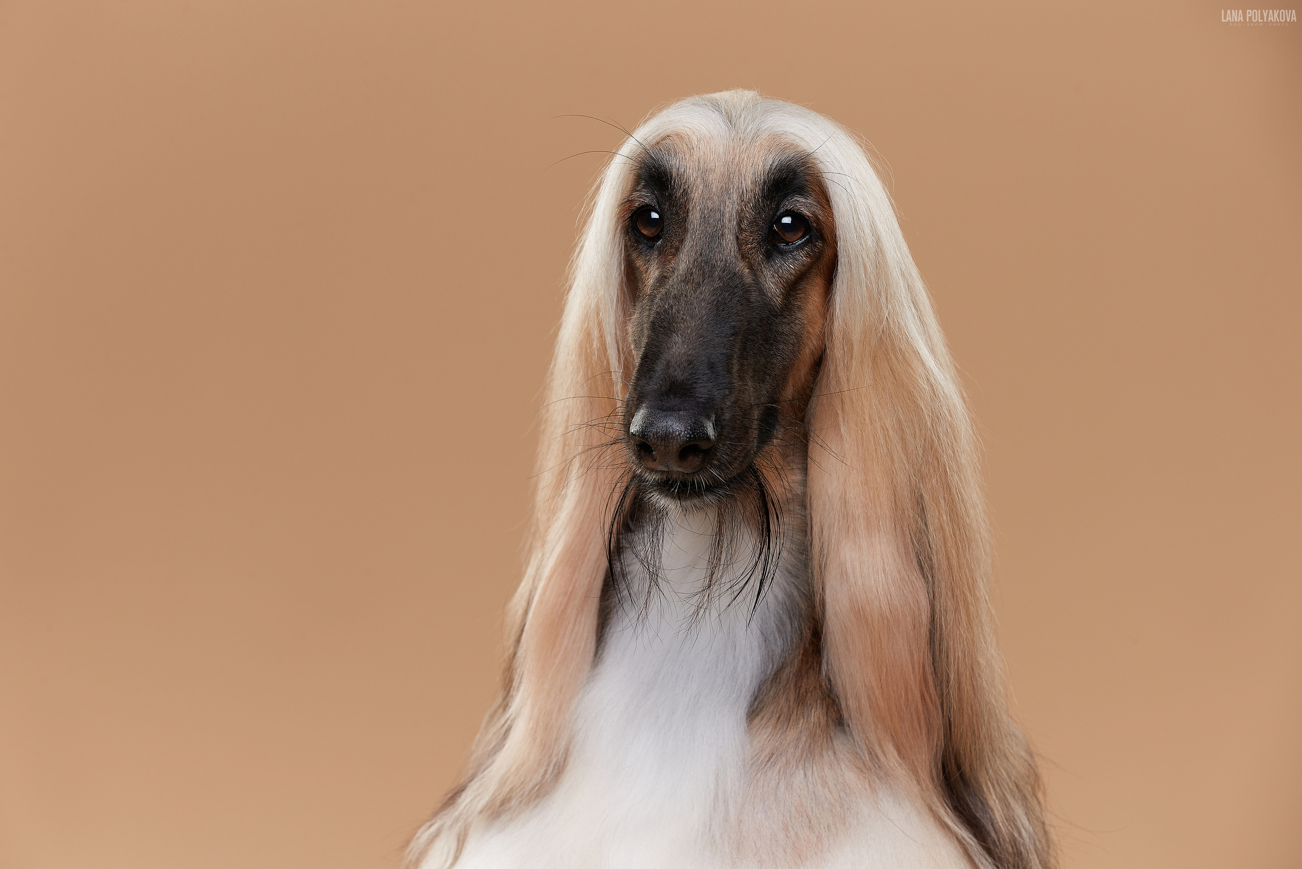 Фотограф Лана Полякова. Студийные кадры