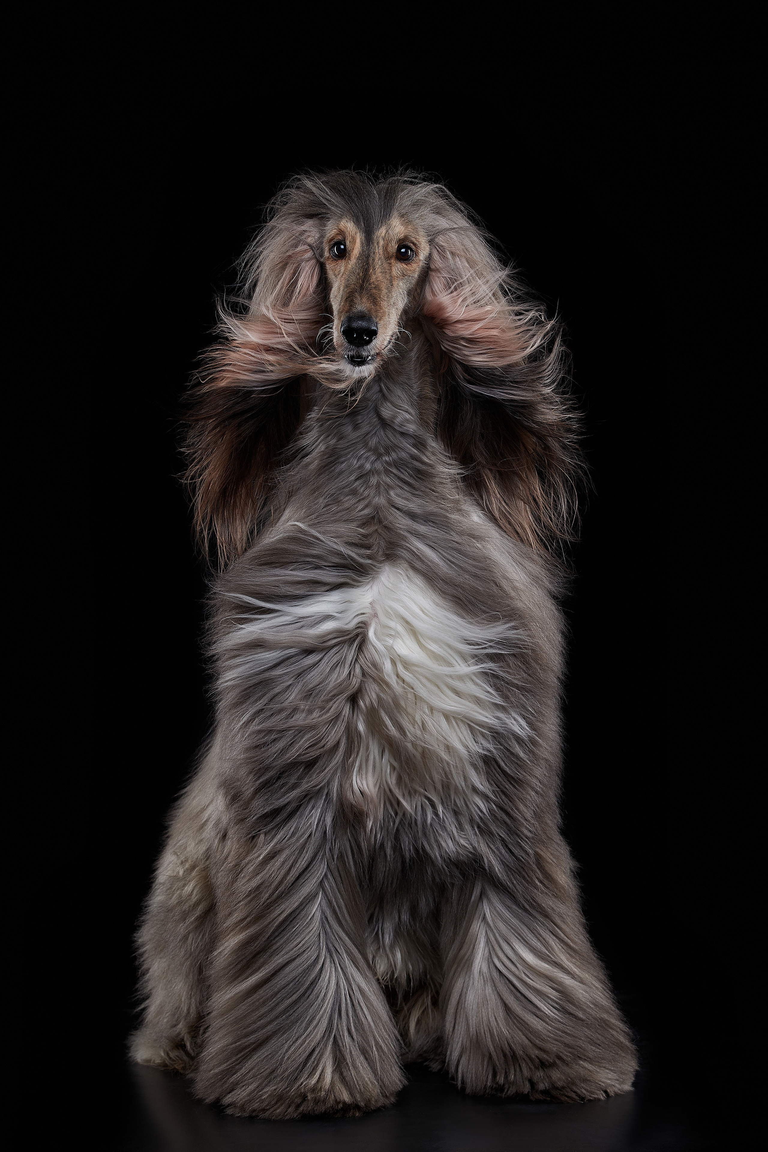 Фотограф Лана Полякова. Студийные кадры