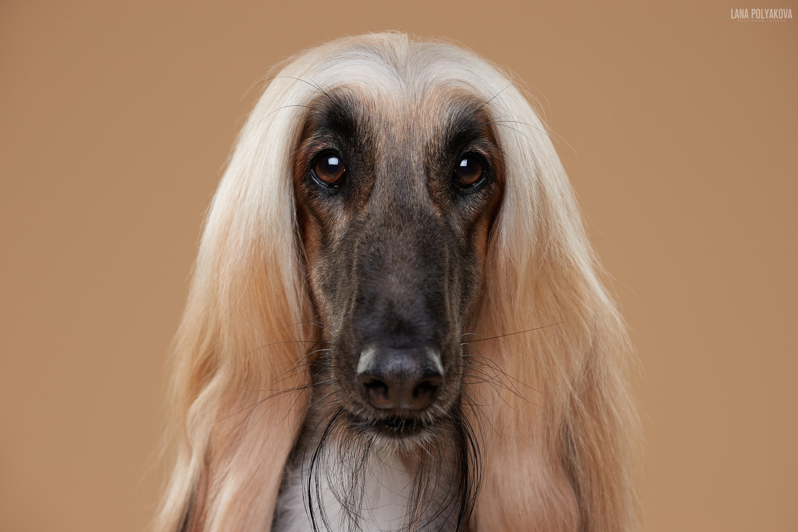 Фотограф Лана Полякова. Студийные кадры