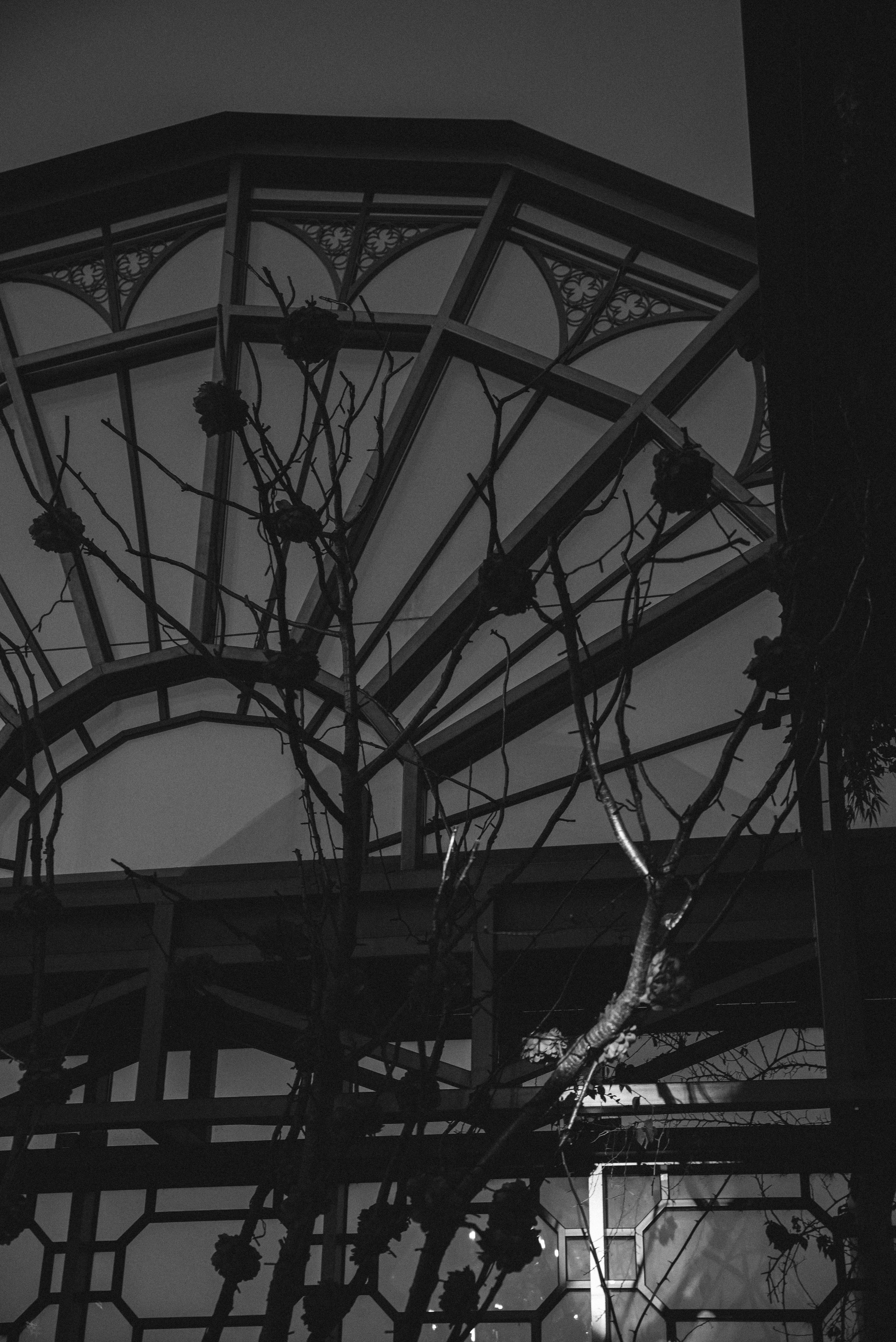 Мария & Артём. Свадебный, семейный, женский фотограф в Москве, Мытищах, Королёве Ксения Узилле