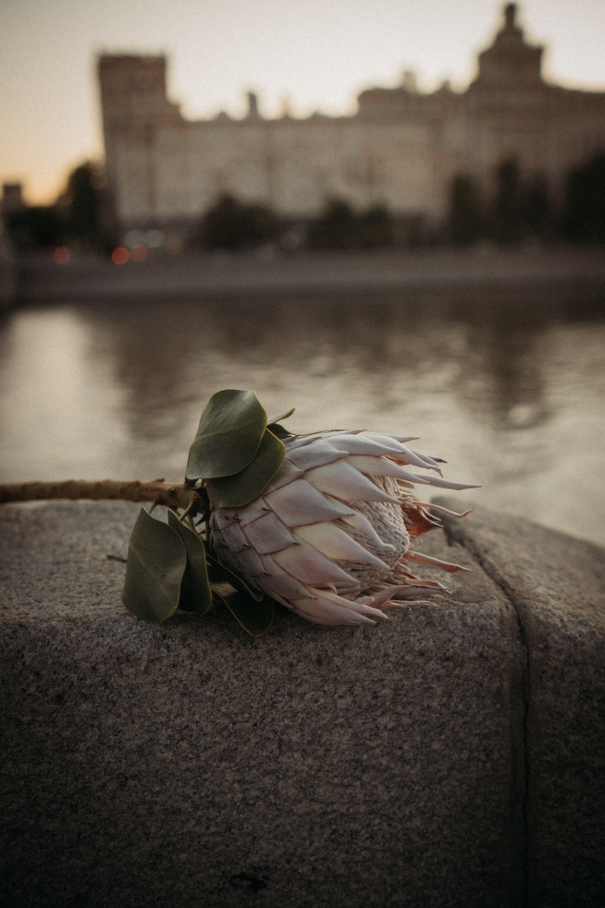 На набережной. Видеограф и фотограф Анна Грачева г. Москва