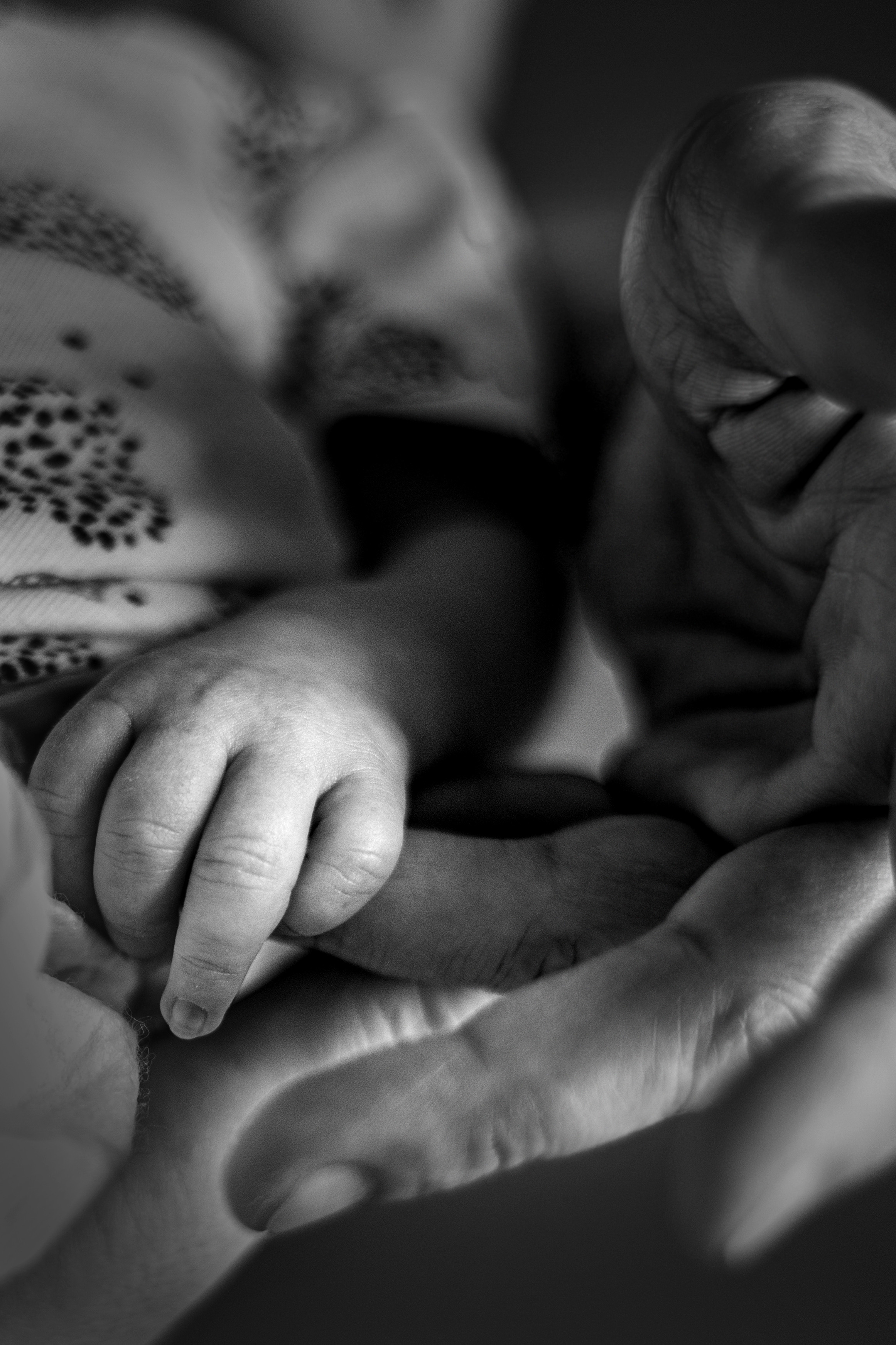 Малыш дома. Фотограф в Ростове-на-Дону Алина Ежова