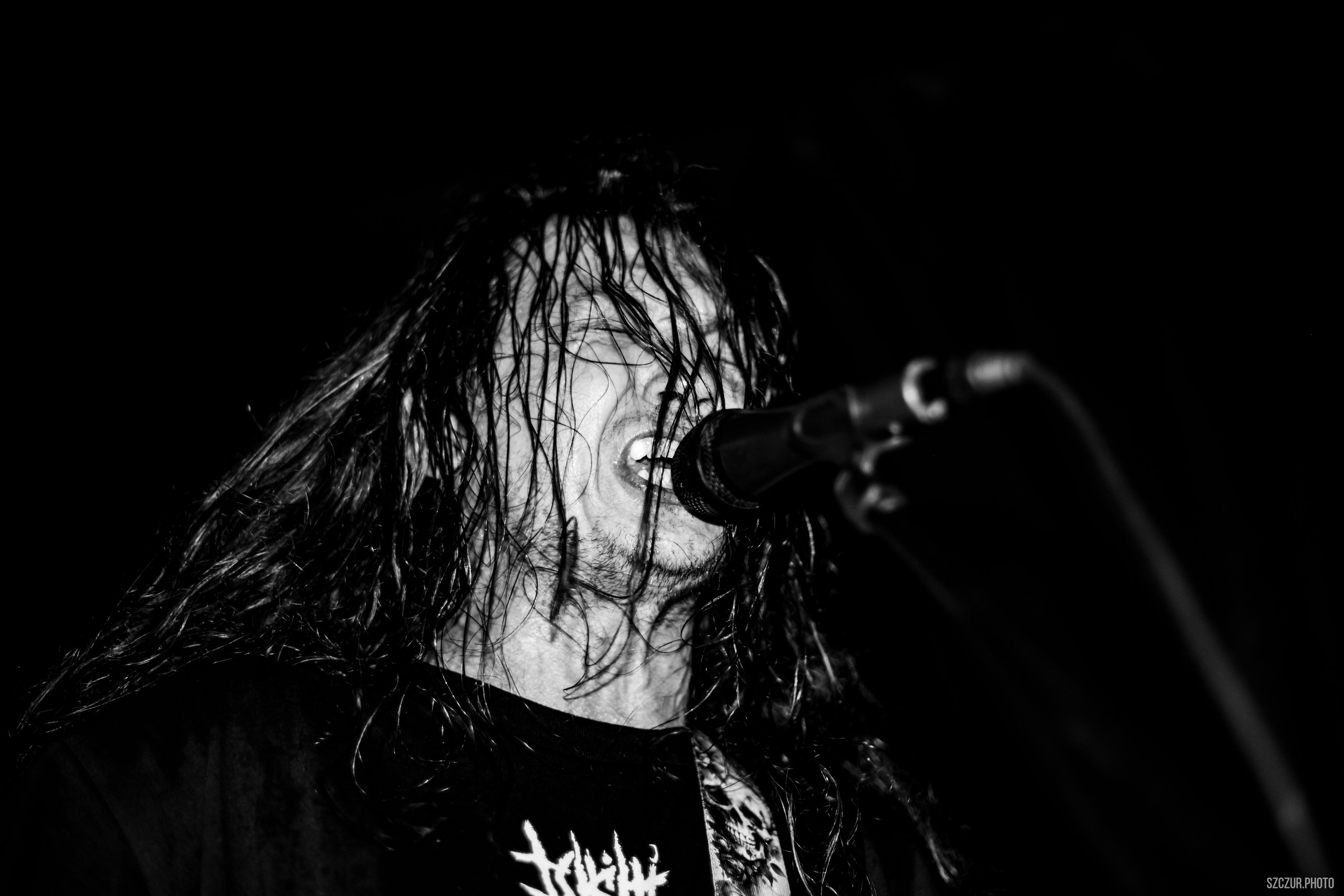 О т м е ж / Protoslon / ЯЗВА / Масть в Мотыге 24.08.25. Szczur photo