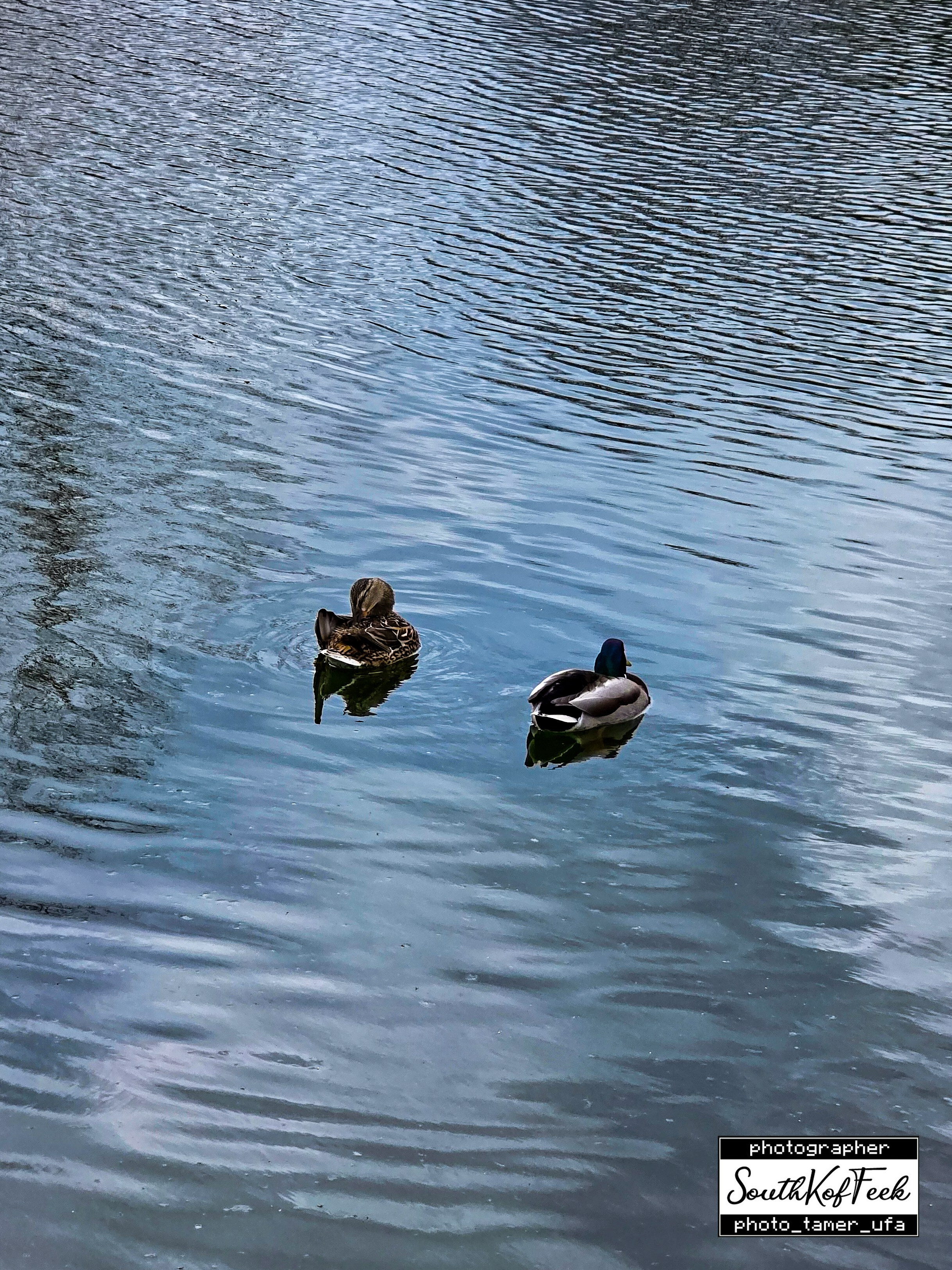 Прочие съемки. Photo Tamer Ufa