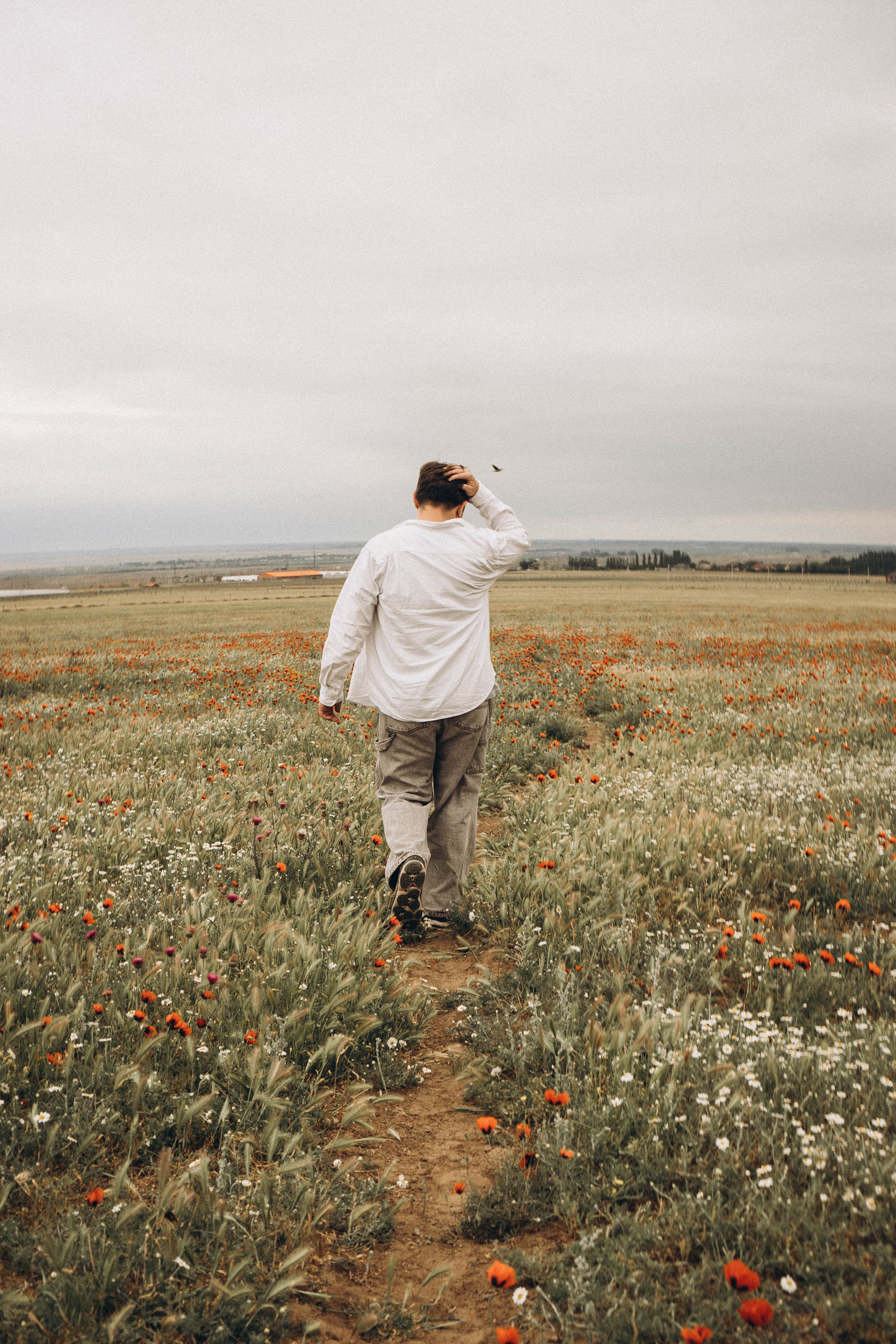 Маки. Профессиональный фотограф, Санкт-Петербург — Виктория Богомолова
