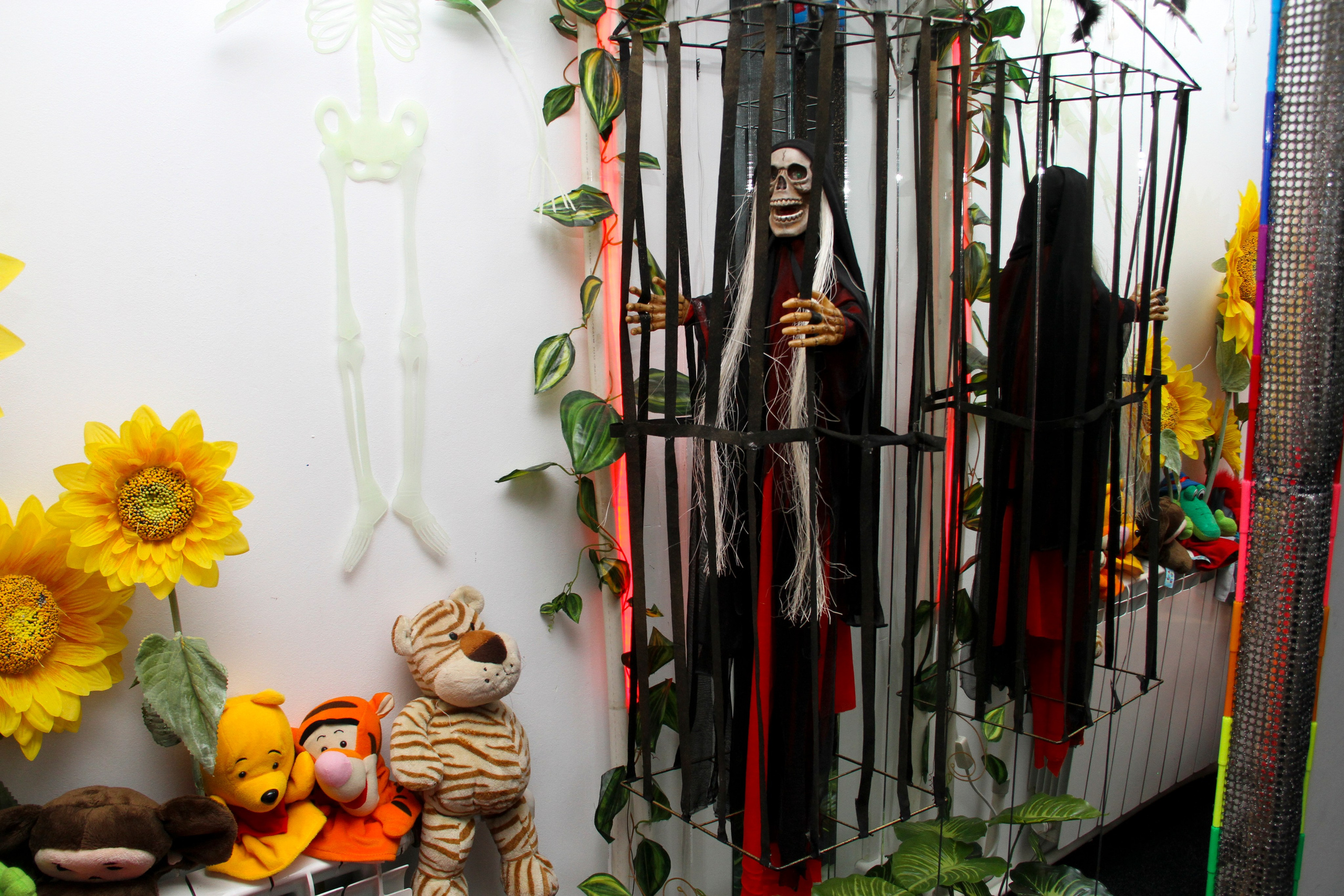 Катя ДР 13 лет 01.12.2012. Семейный, Свадебный фотограф СПБ Питер— Романова Екатерина