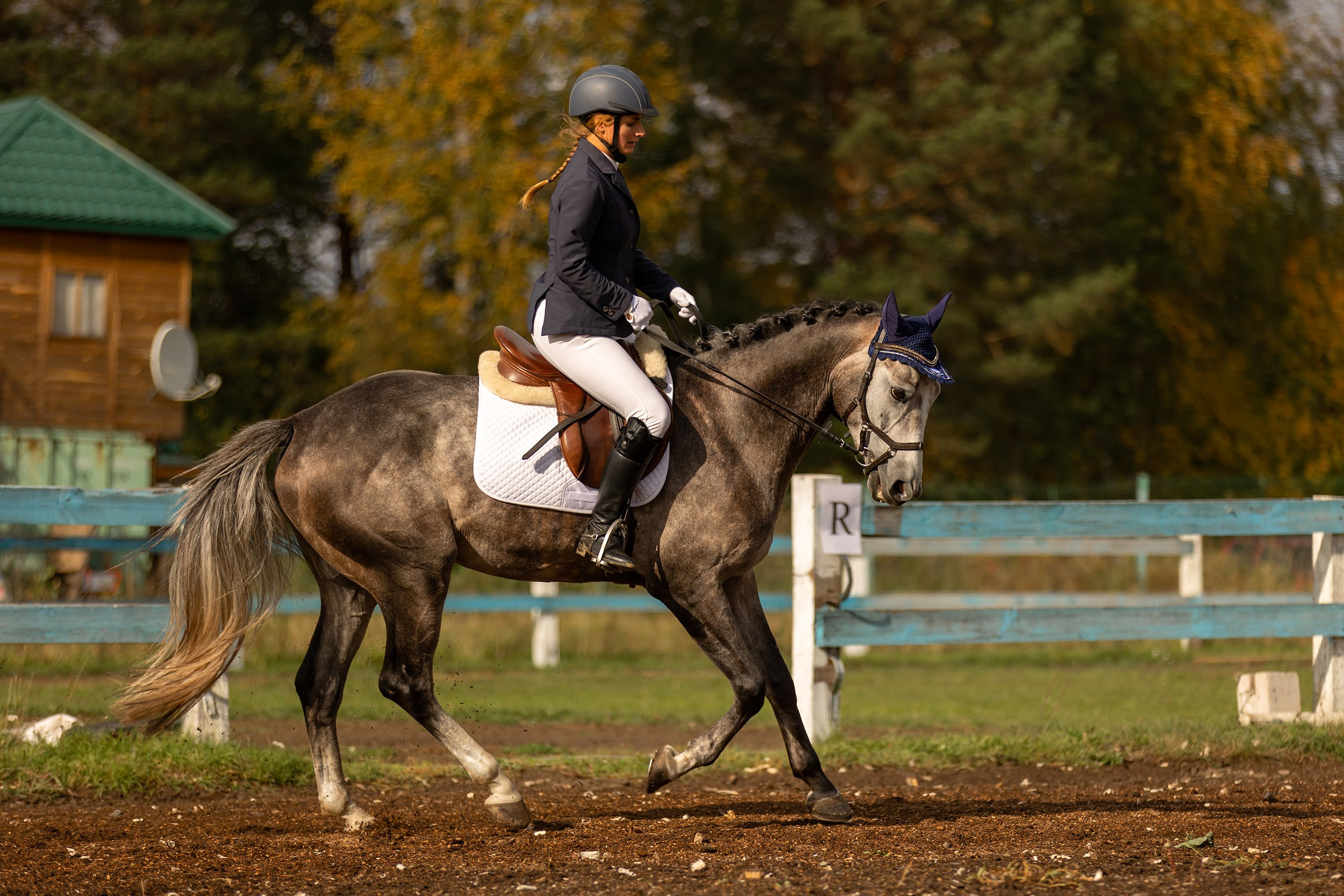 Соревнования по конному спорту. Конный фотограф Валынкина Лера