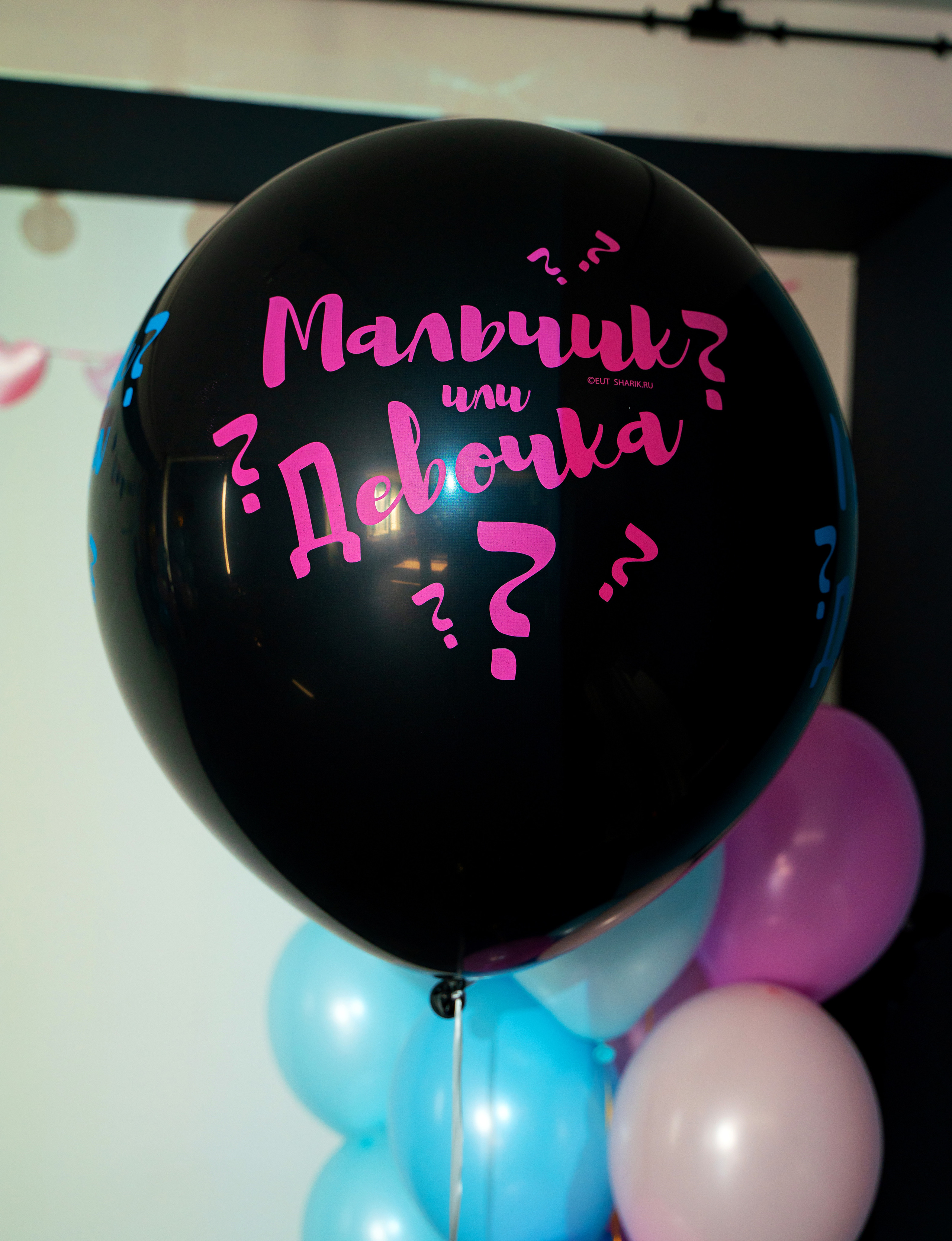 Гендер пати. Детский и семейный фотограф. ВЫПУСКНЫЕ АЛЬБОМЫ. Москва